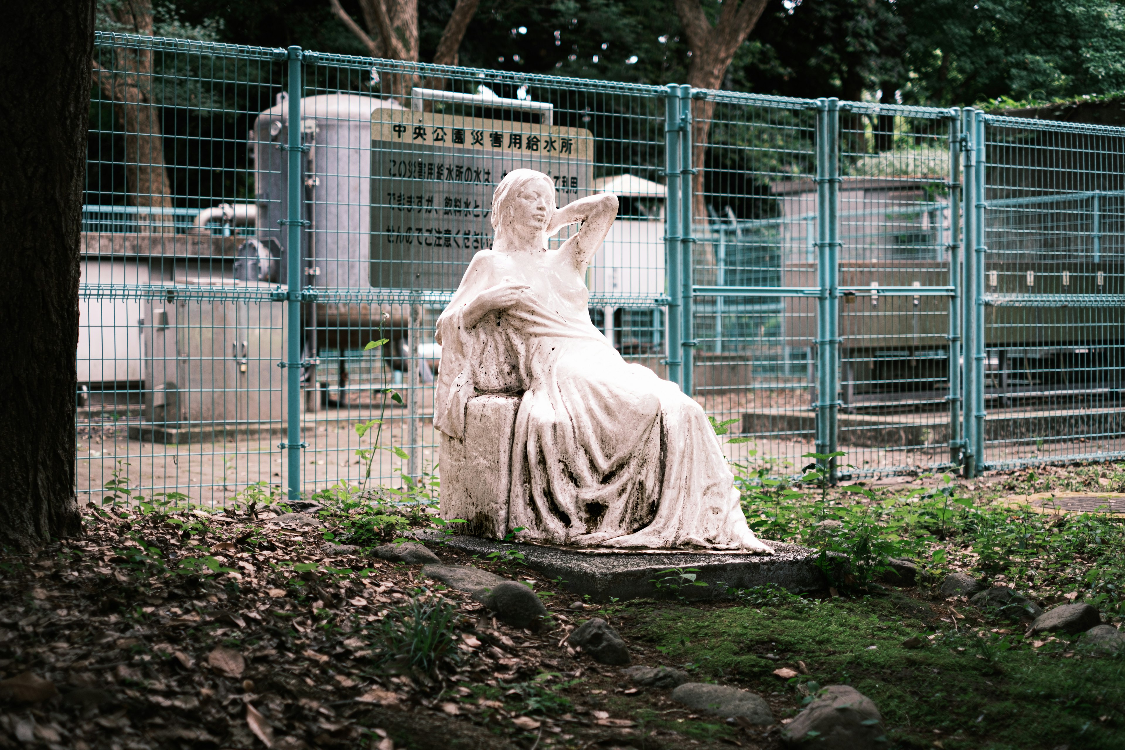 Eine weiße Statue sitzt hinter einem Zaun, umgeben von Bäumen und verstreuten Blättern