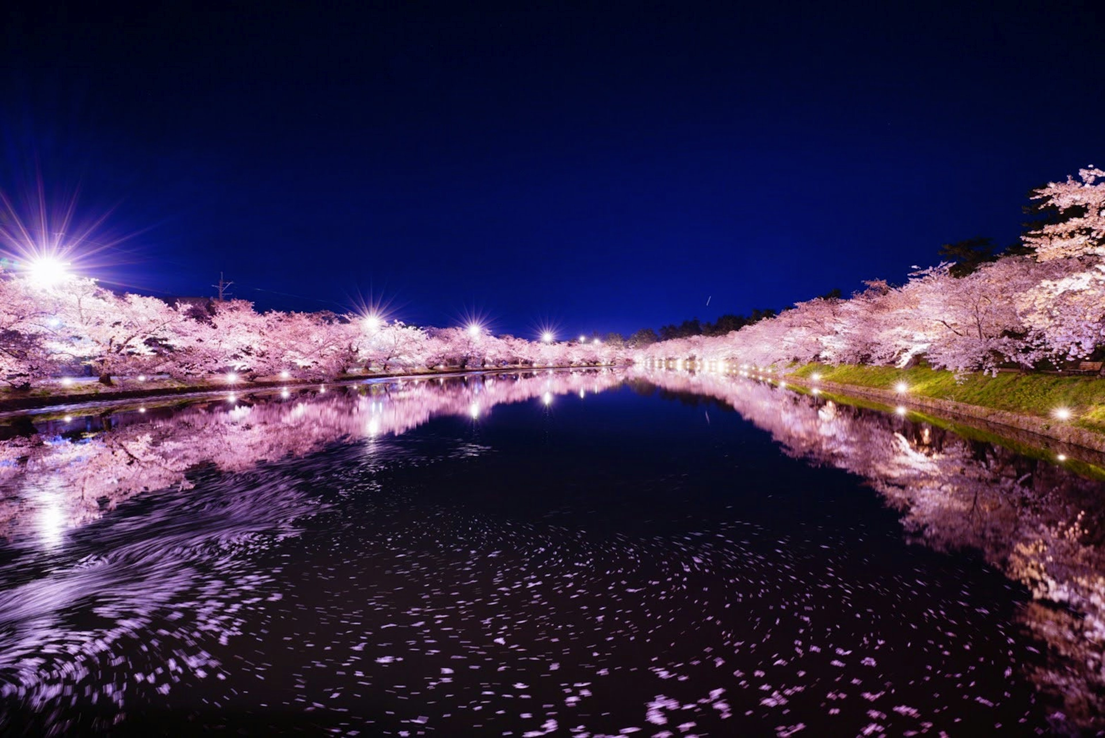 Beautiful river landscape with cherry blossoms and reflections at night