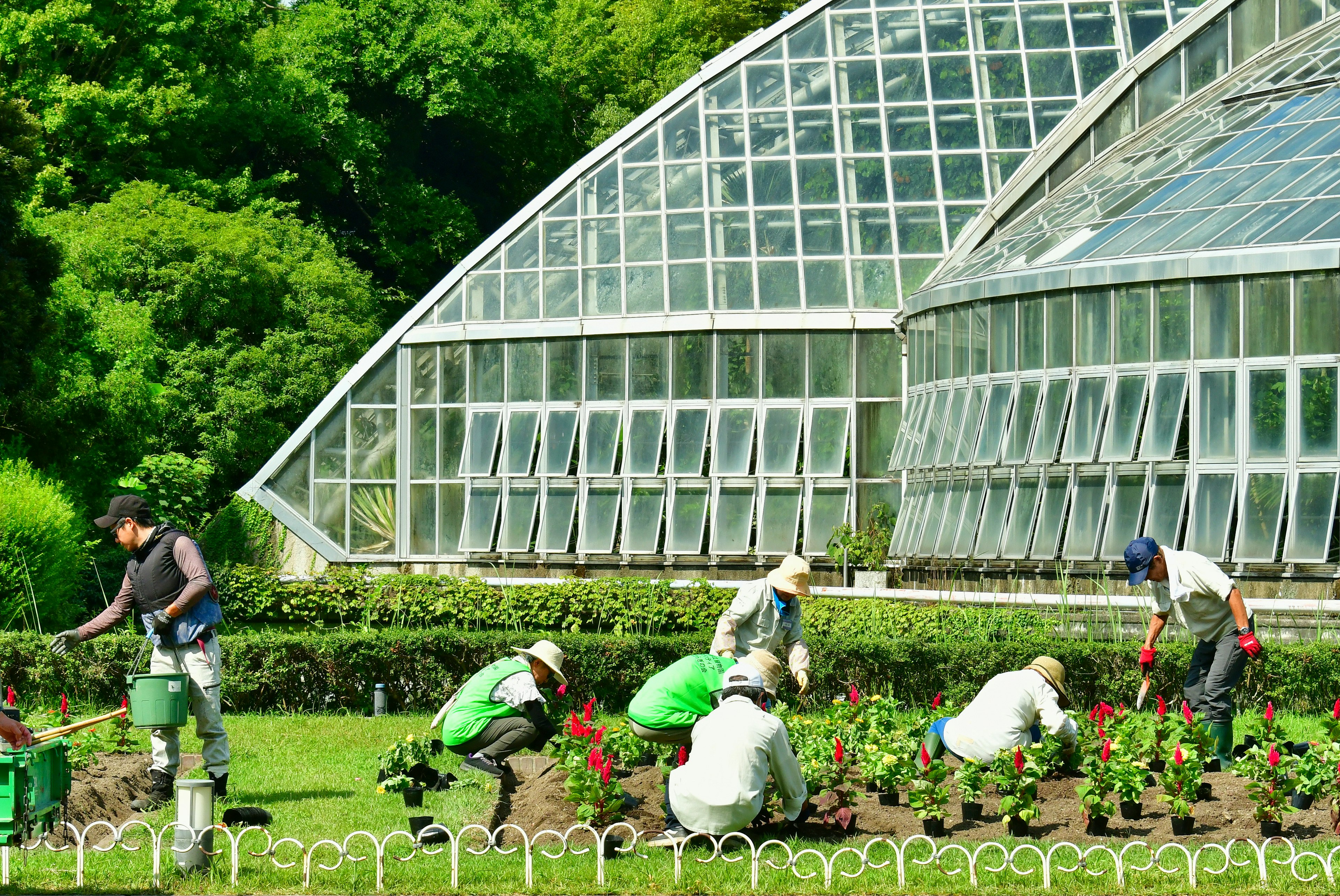 Workers planting flowers in front of a greenhouse