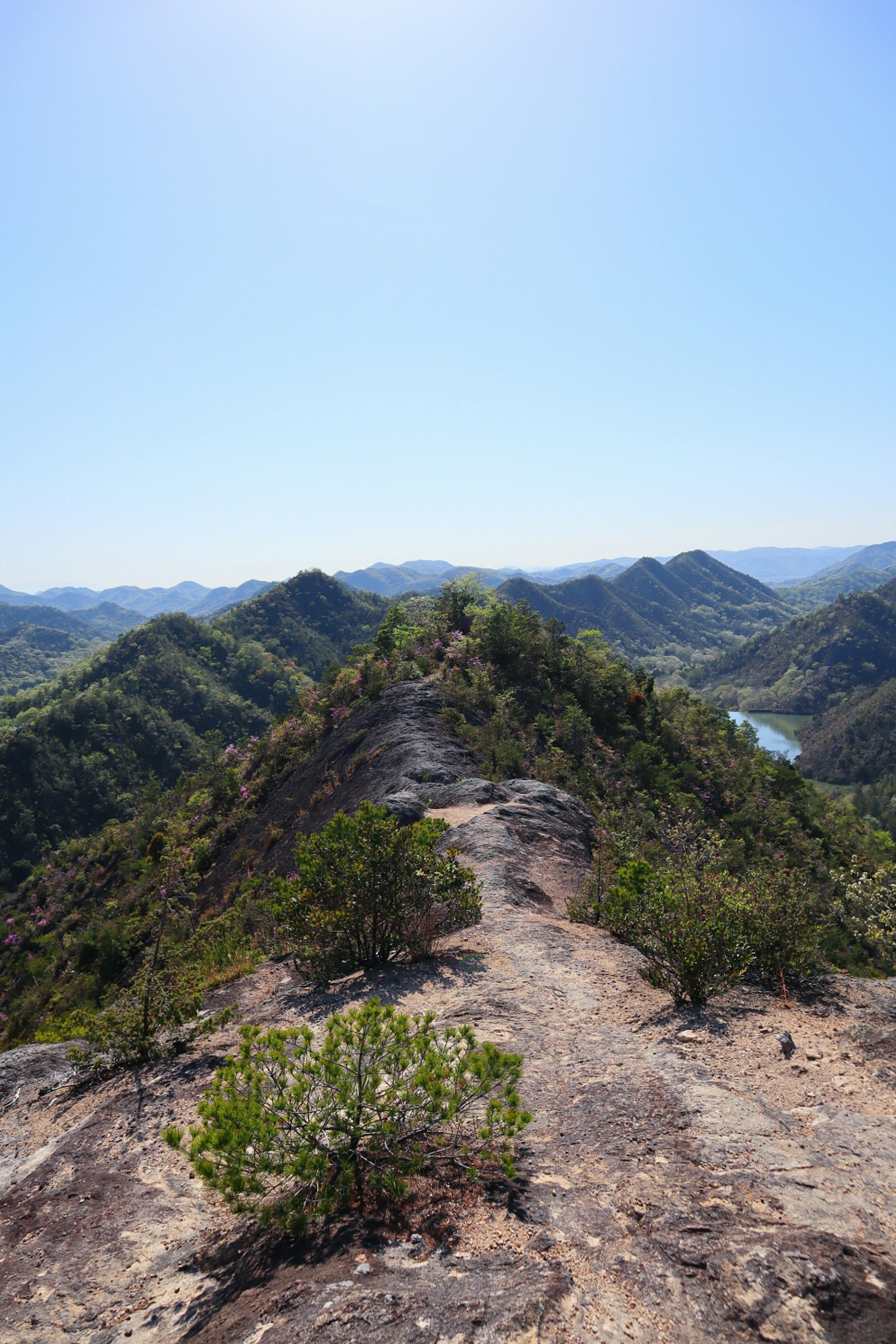 Sendero de cresta montañosa con vegetación exuberante y cielo azul claro