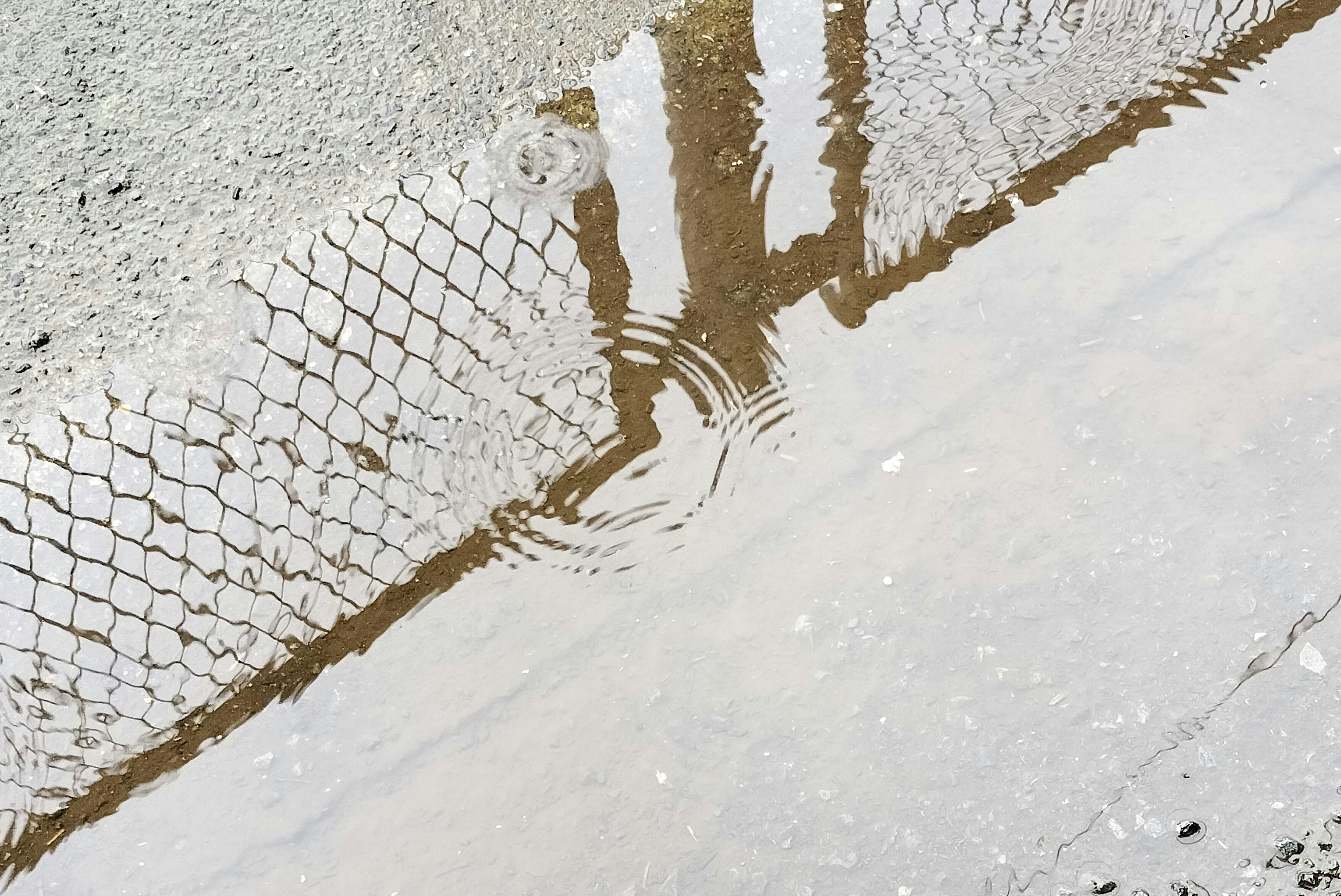 Reflection of a fence and ripples in a puddle