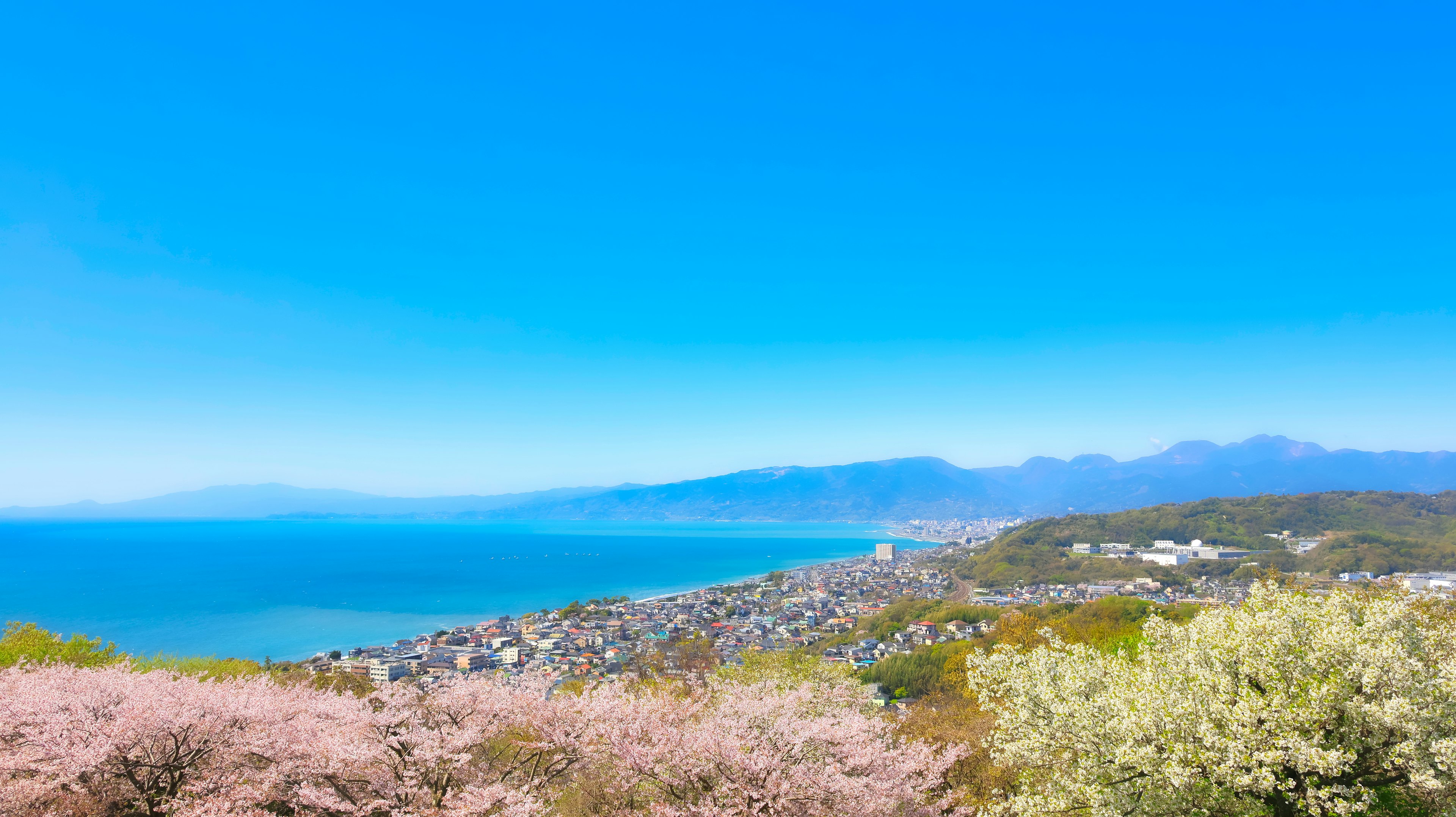 Vista panoramica del mare e delle montagne sotto un cielo blu con ciliegi in fiore