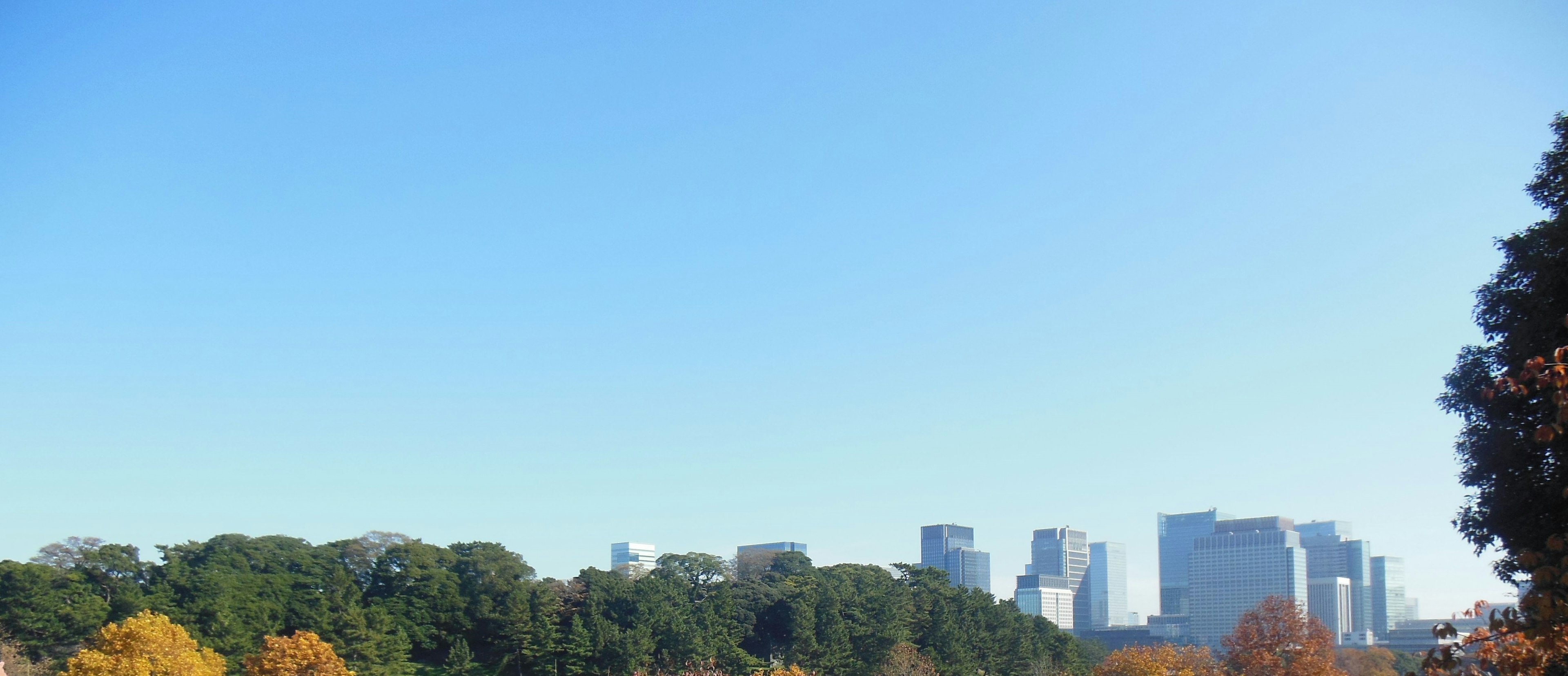 City skyline with green trees under a clear blue sky