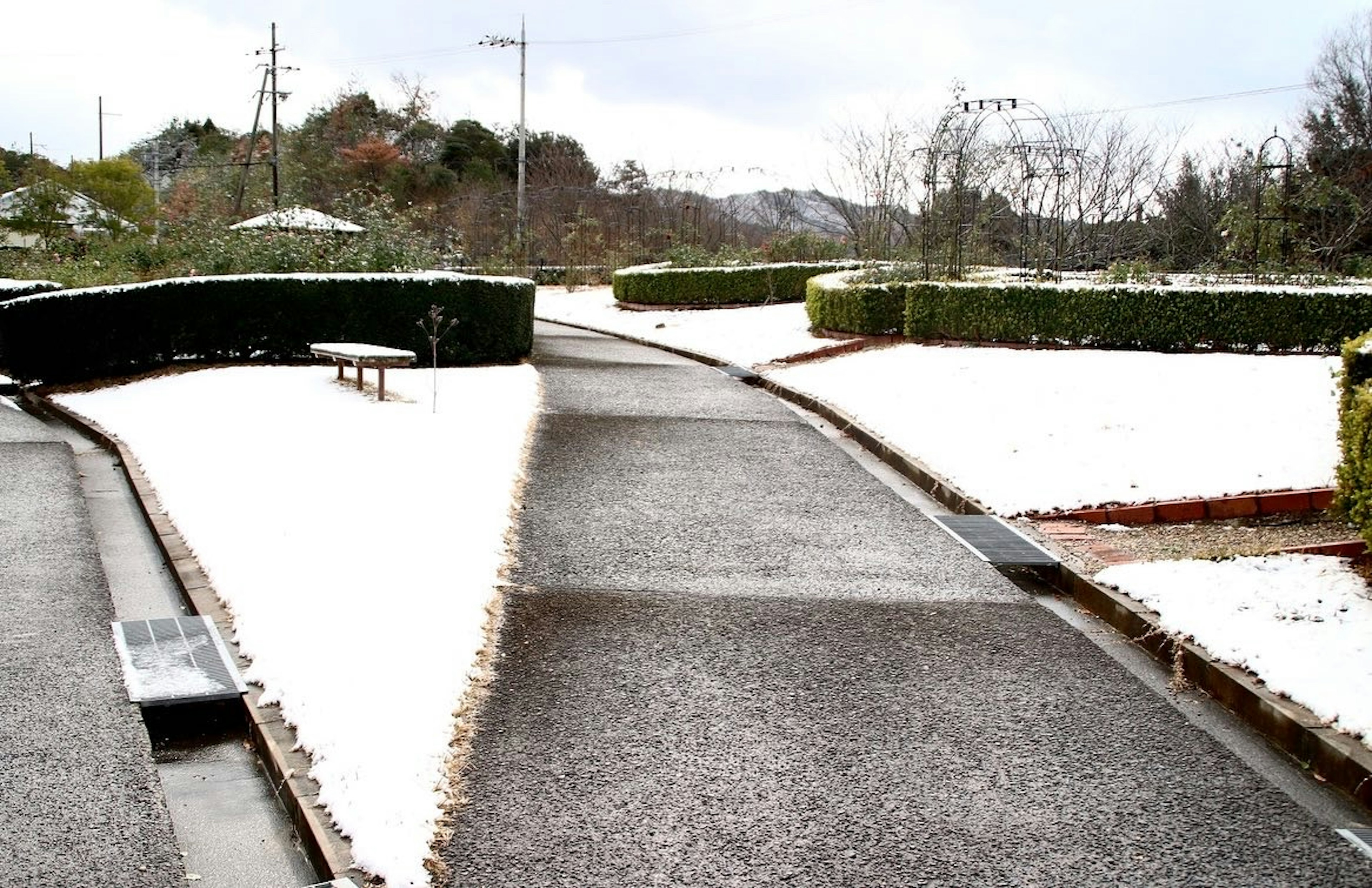 Pathway in a park covered with snow and bordered by green hedges