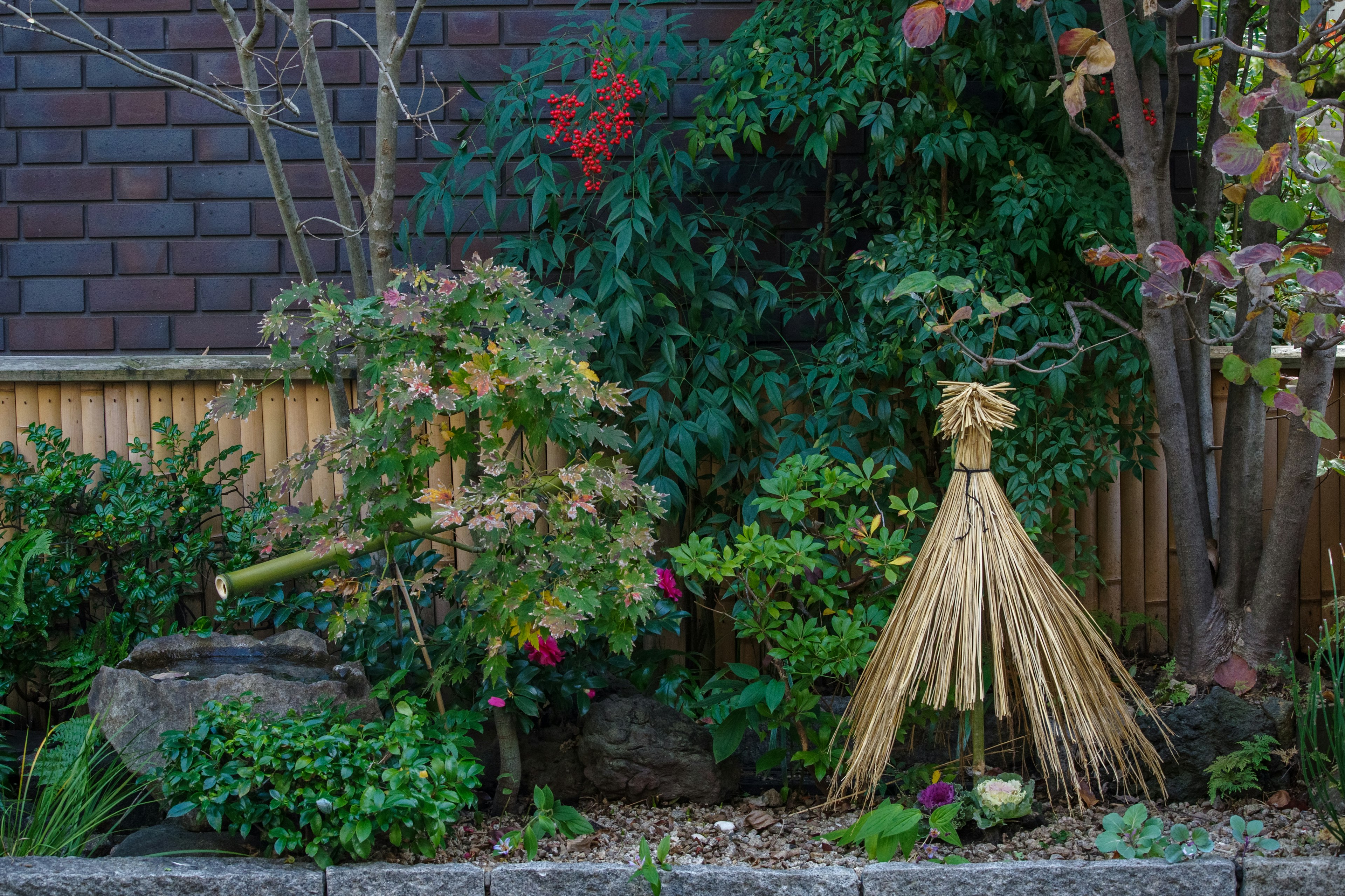 Giardino lussureggiante con piante vivaci e bambù decorativo