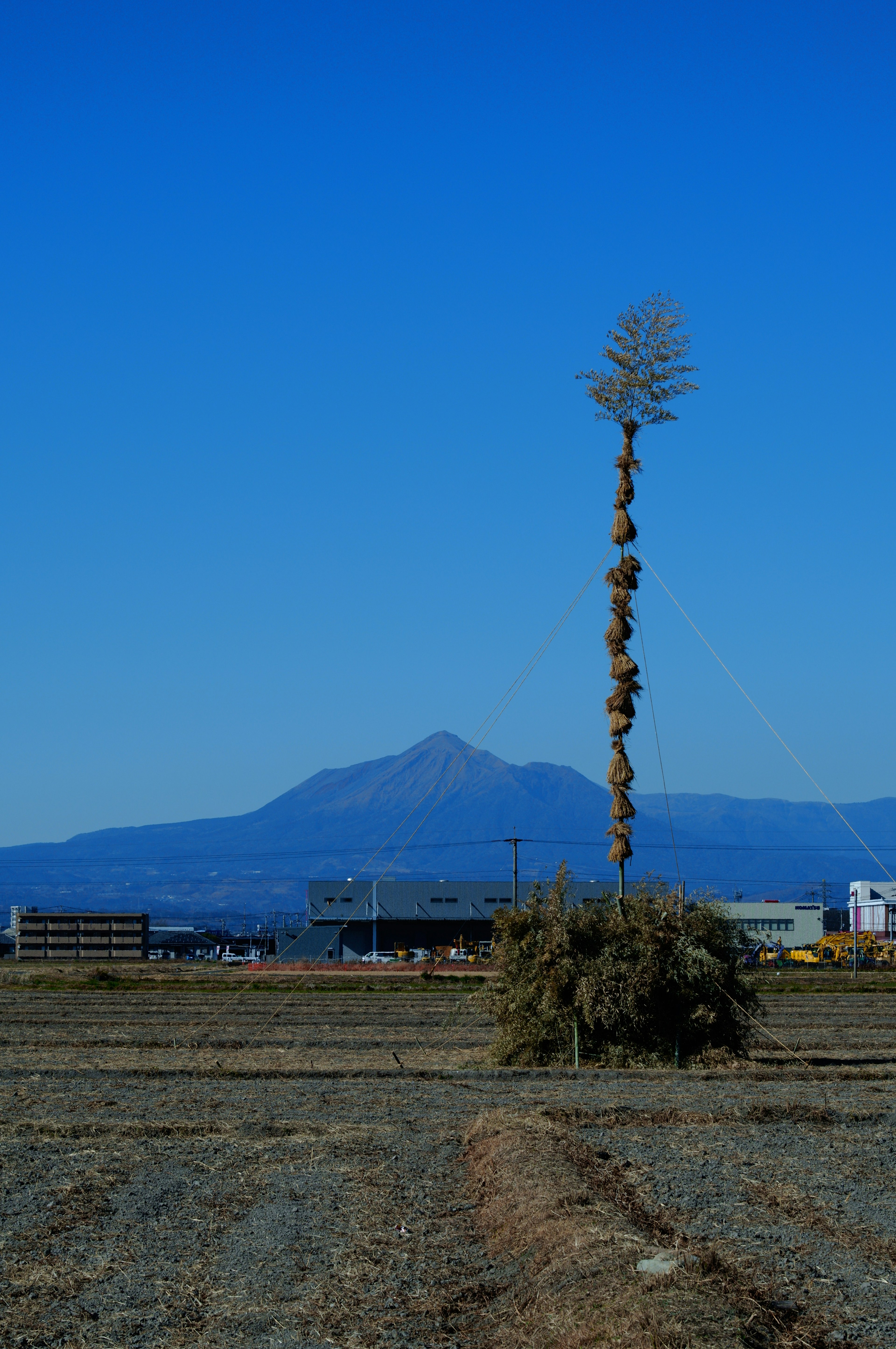 Monument haut ressemblant à un arbre sous un ciel bleu avec une montagne en arrière-plan