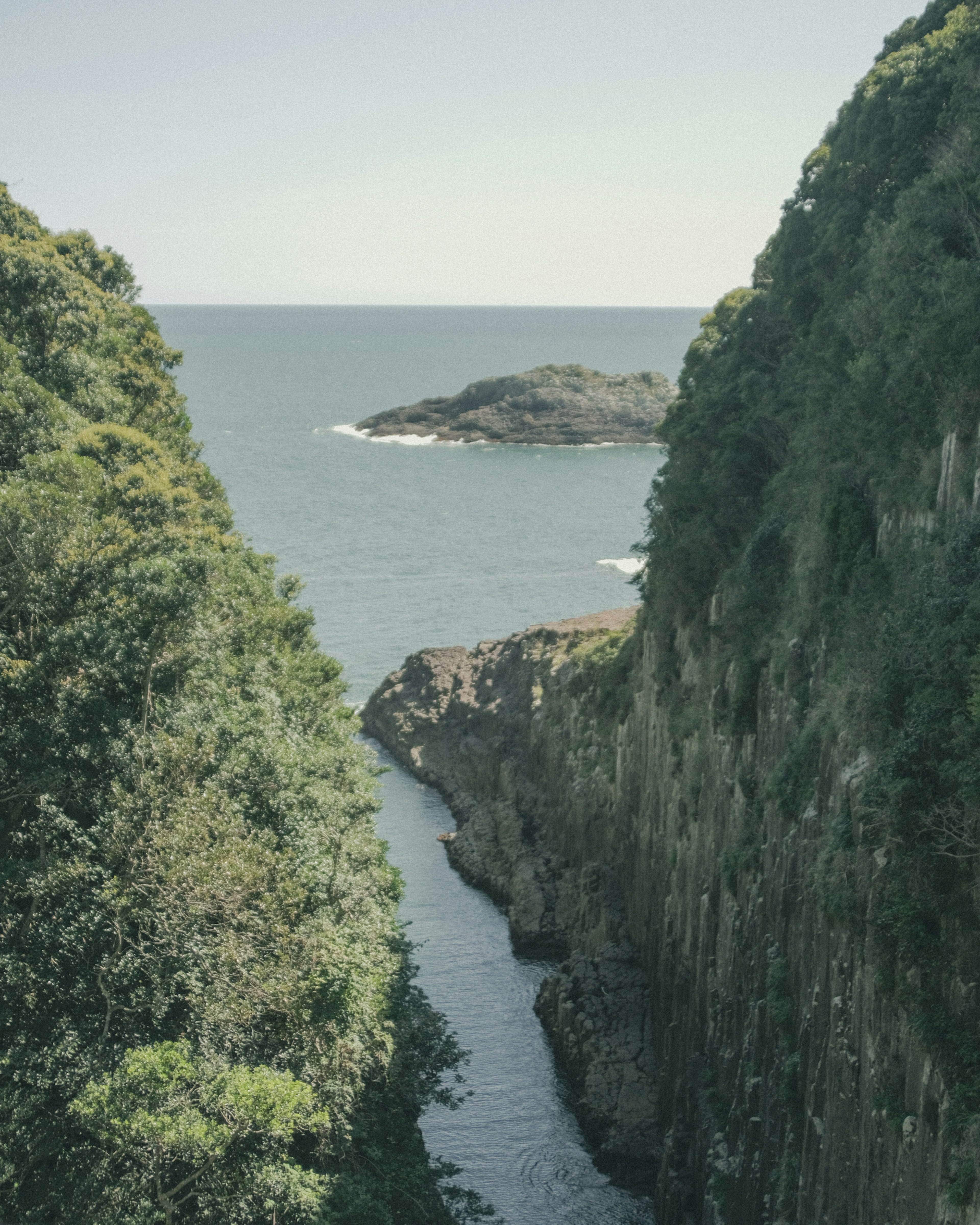 緑豊かな崖に囲まれた海の景色