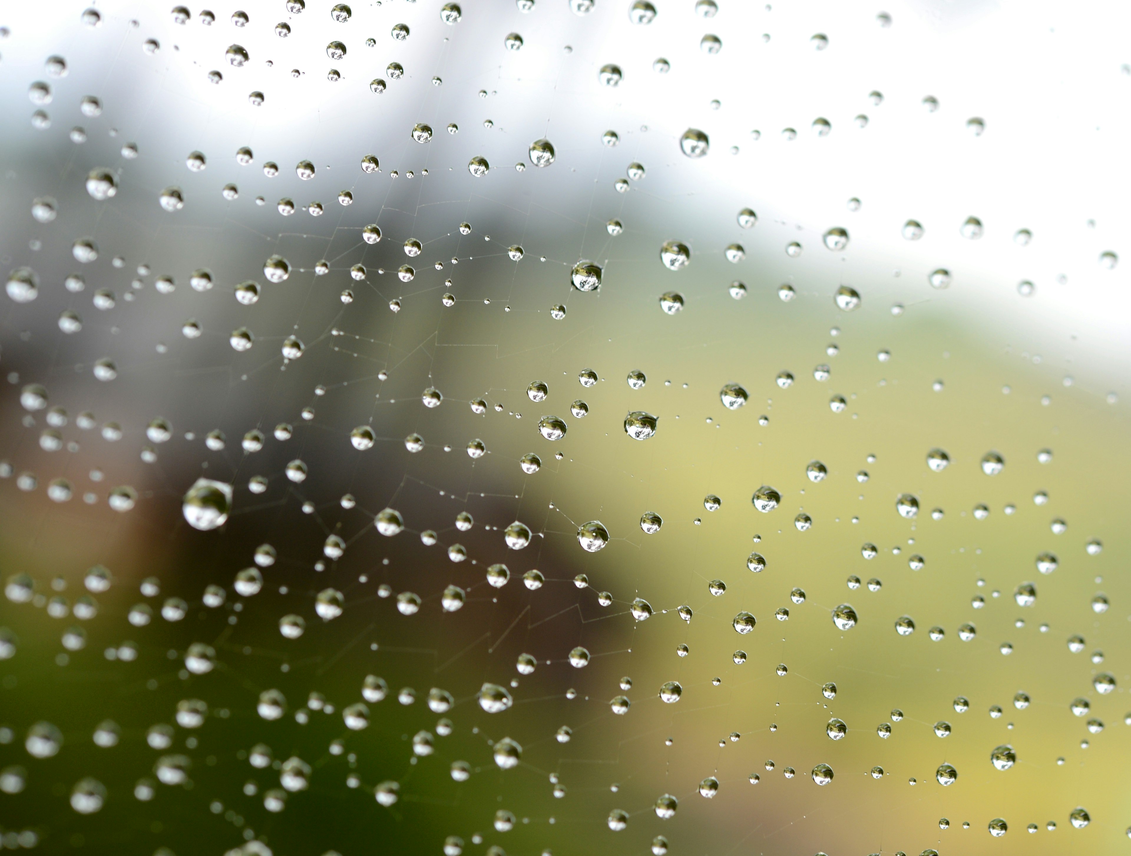 窓のガラスに付いた水滴が見える雨の日の風景