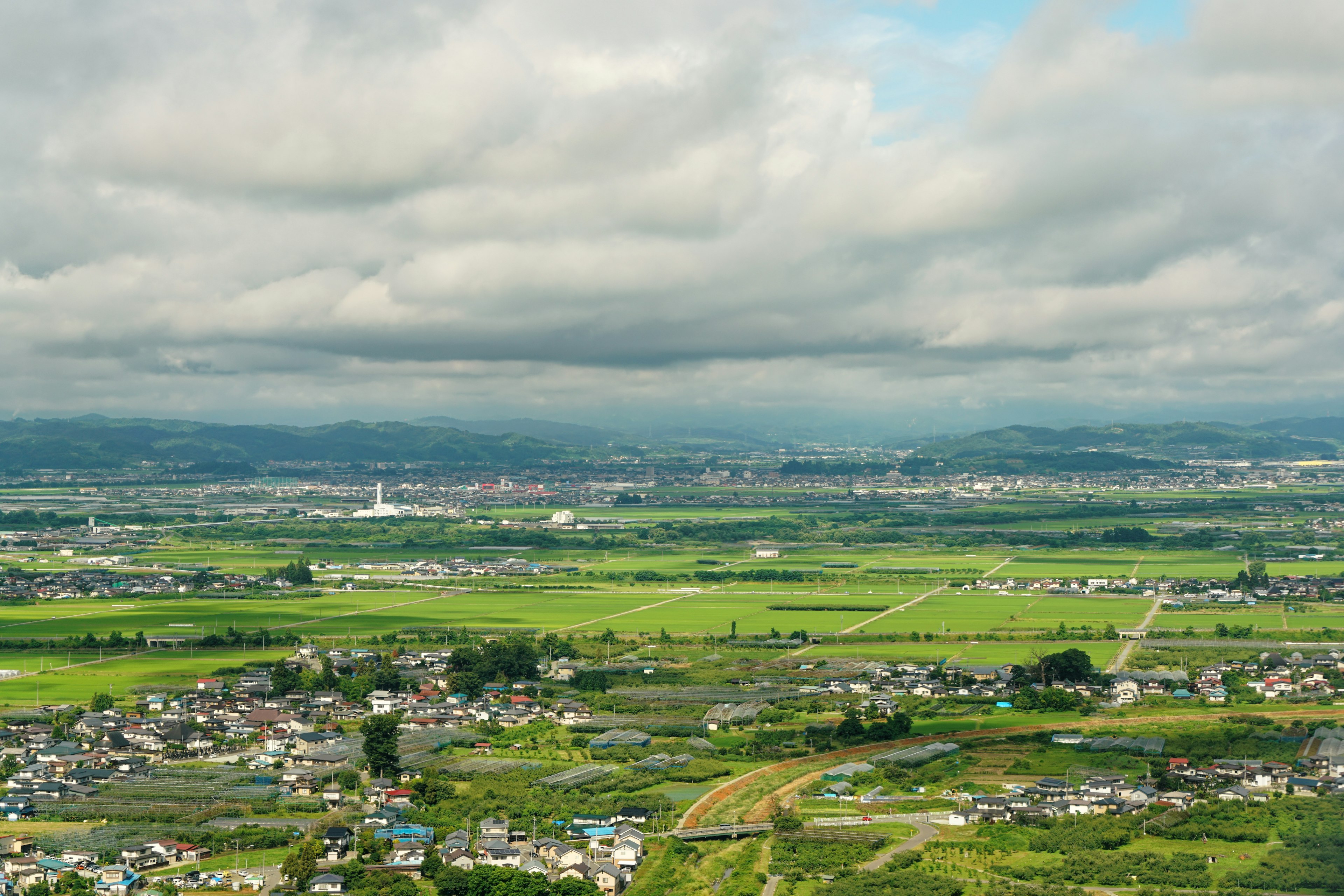 綠意盎然的田野和多雲天空的全景