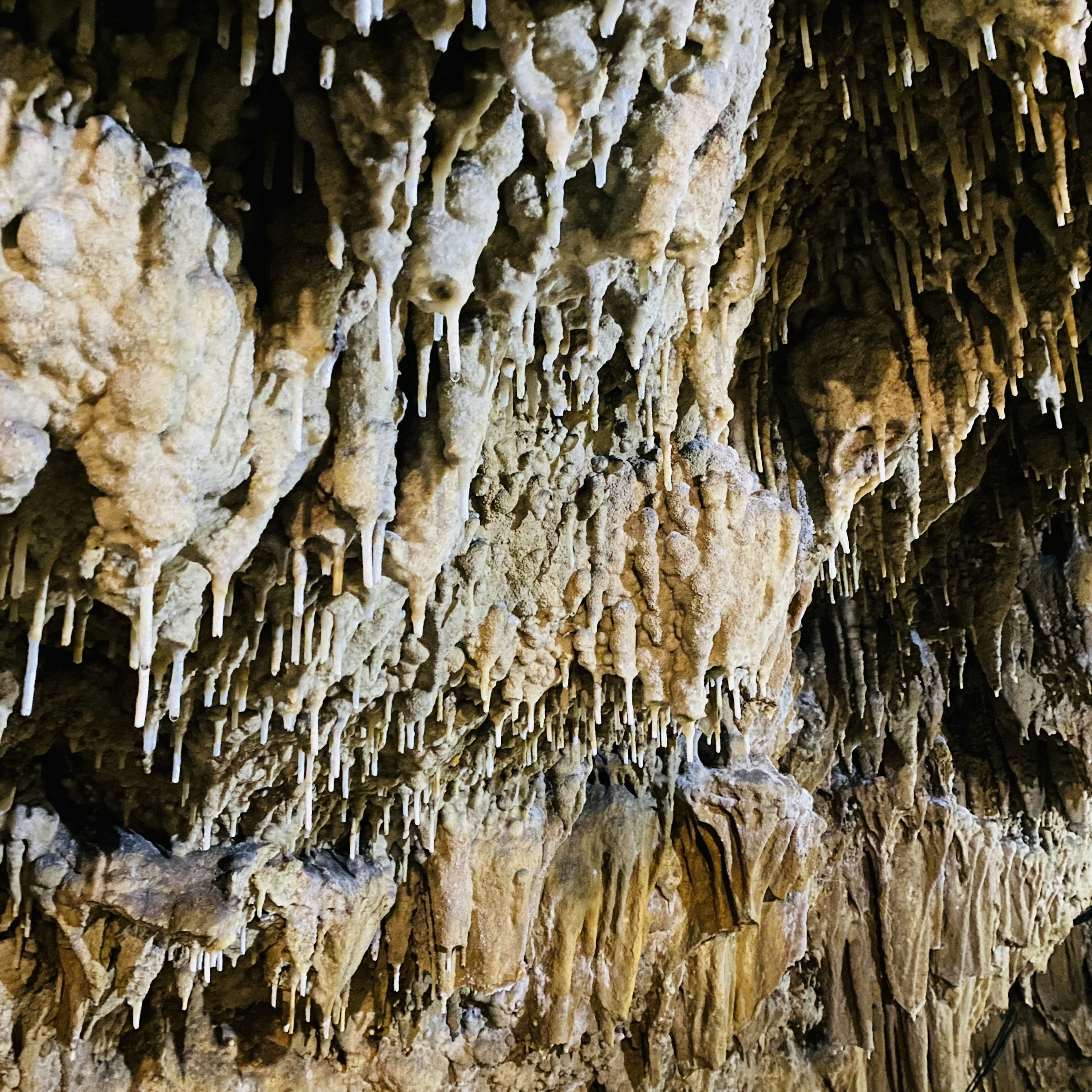 Detaillierte Ansicht der Höhlenwand mit Stalaktiten und Stalagmiten