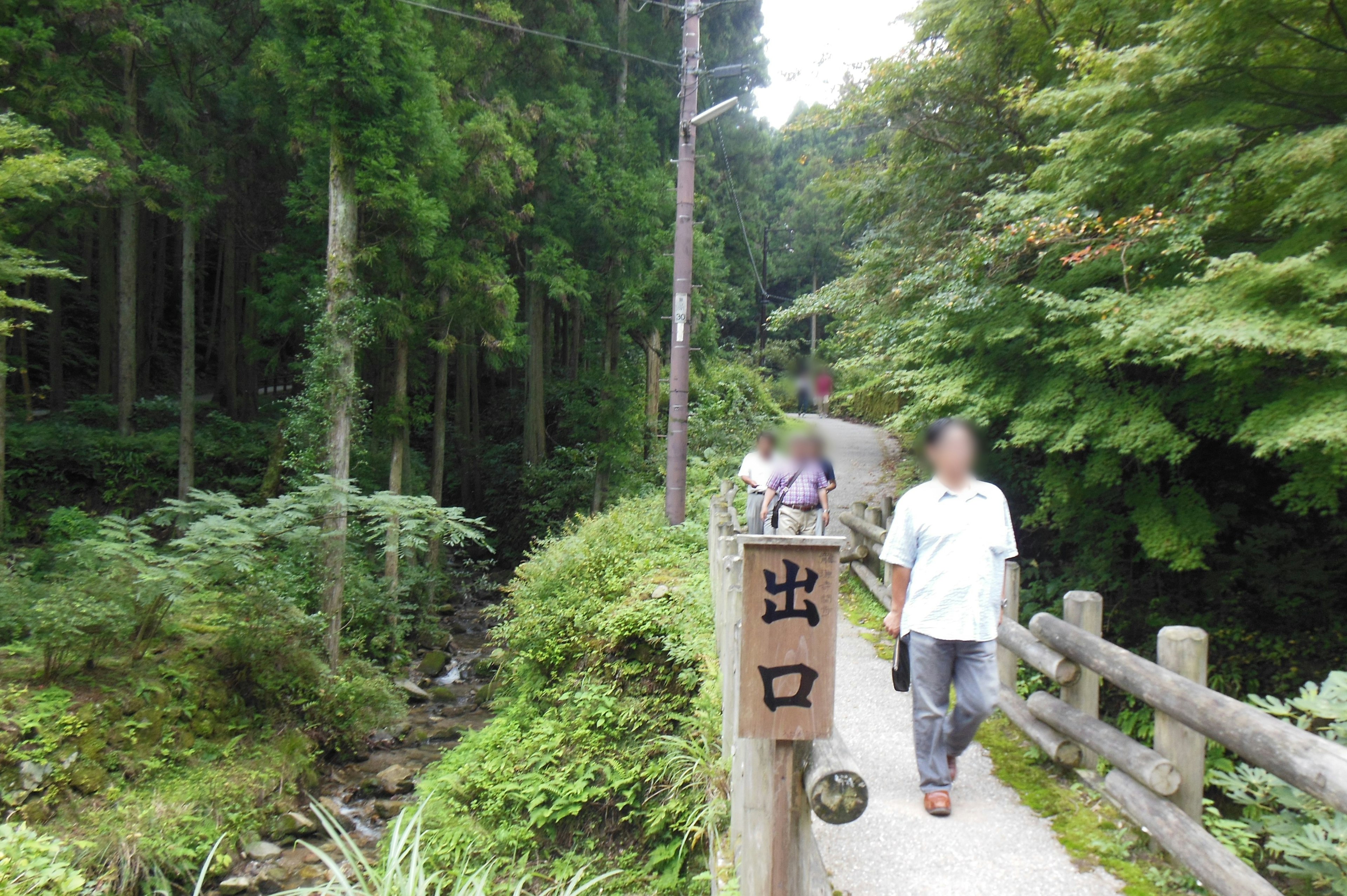 People walking on a lush forest path with an exit sign