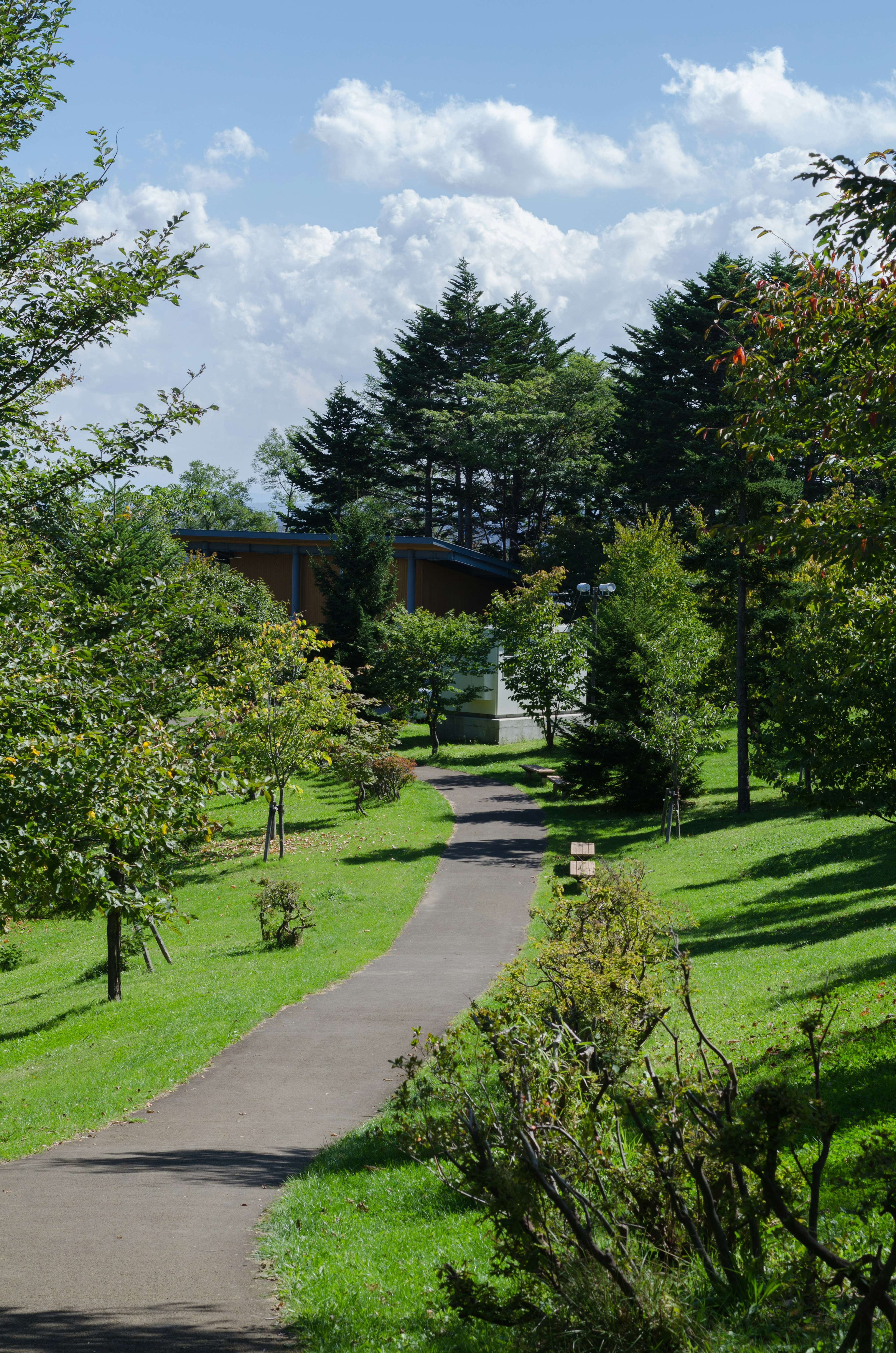 Malerischer Weg in einem üppigen grünen Park unter blauem Himmel