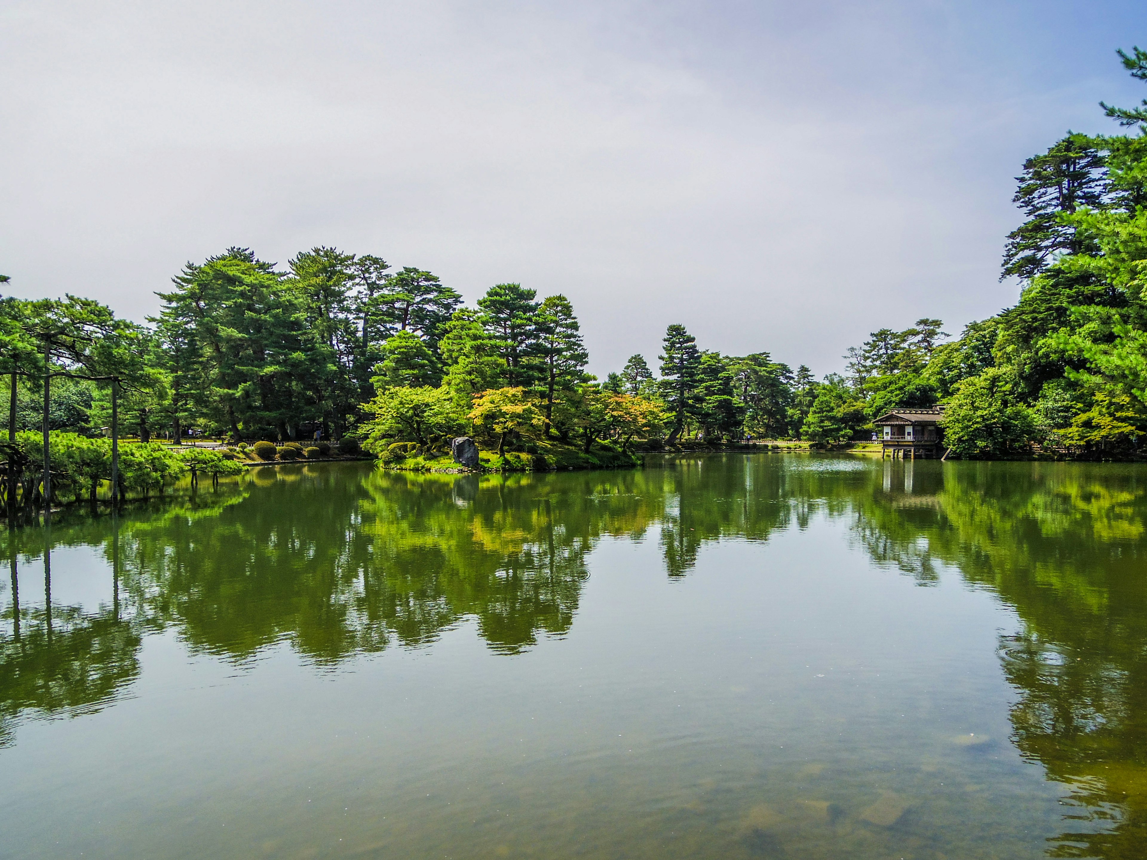 Scenic view of a tranquil lake surrounded by lush trees