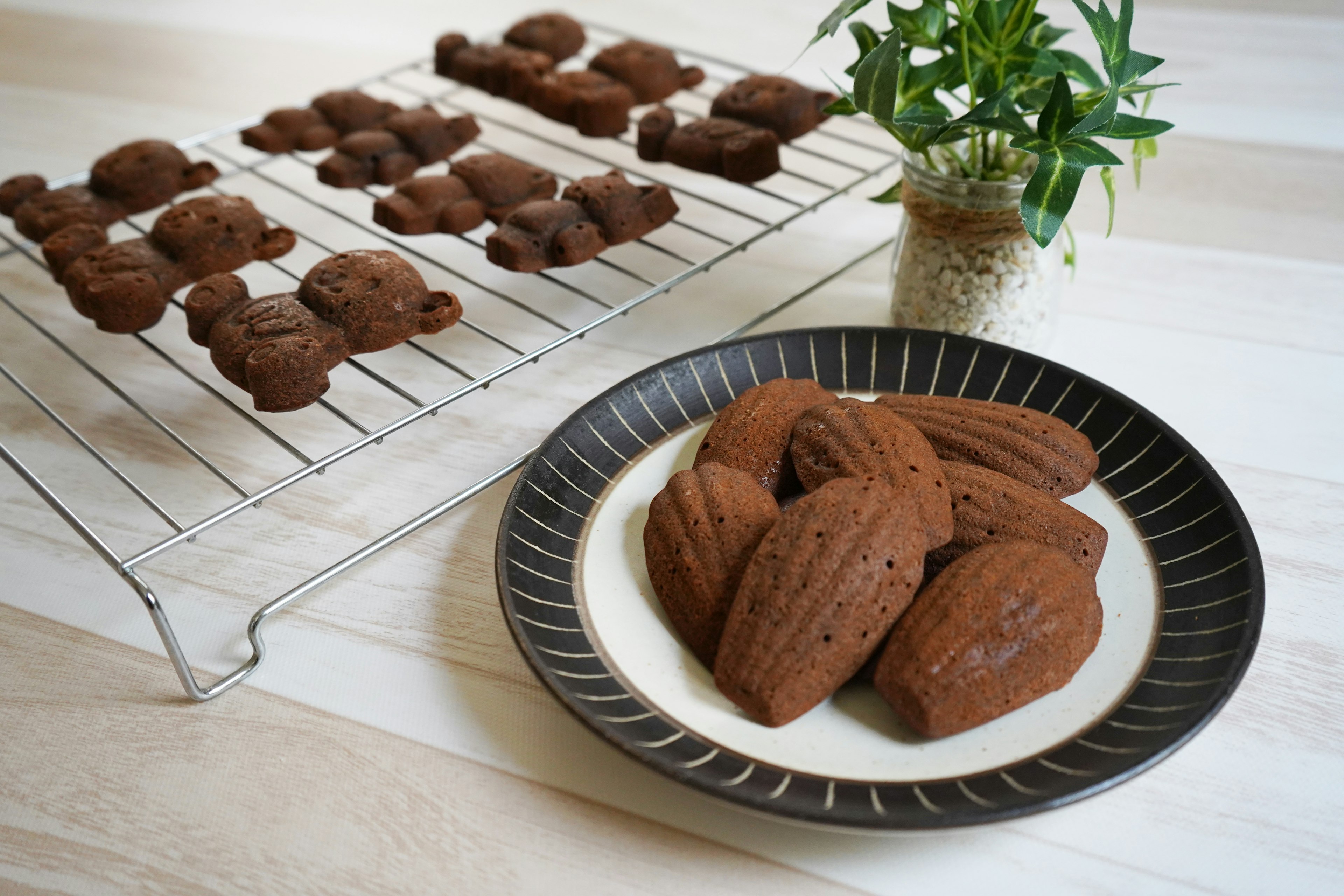 Freshly baked chocolate madeleines arranged on a plate with more cooling on a rack