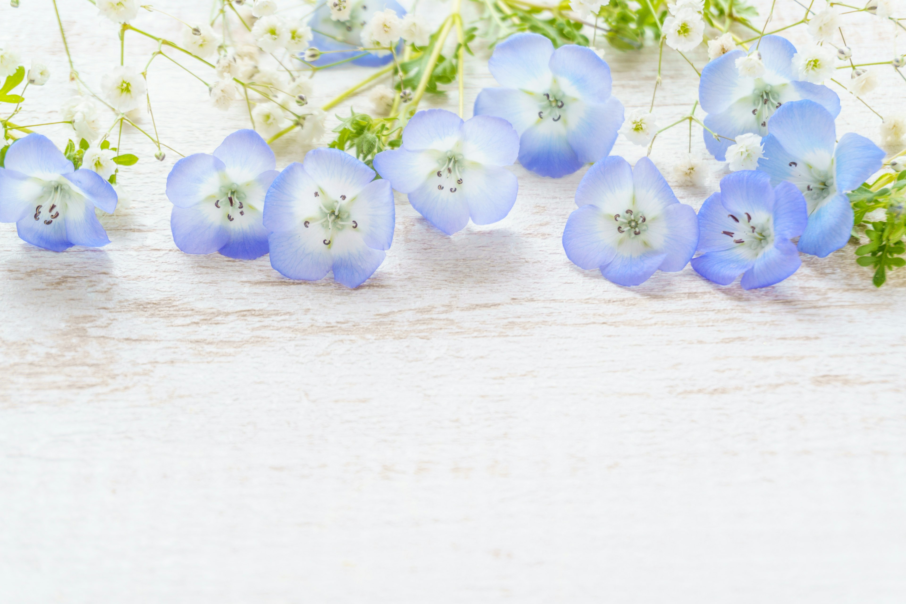 Bellissimo arrangiamento di fiori blu e bianchi