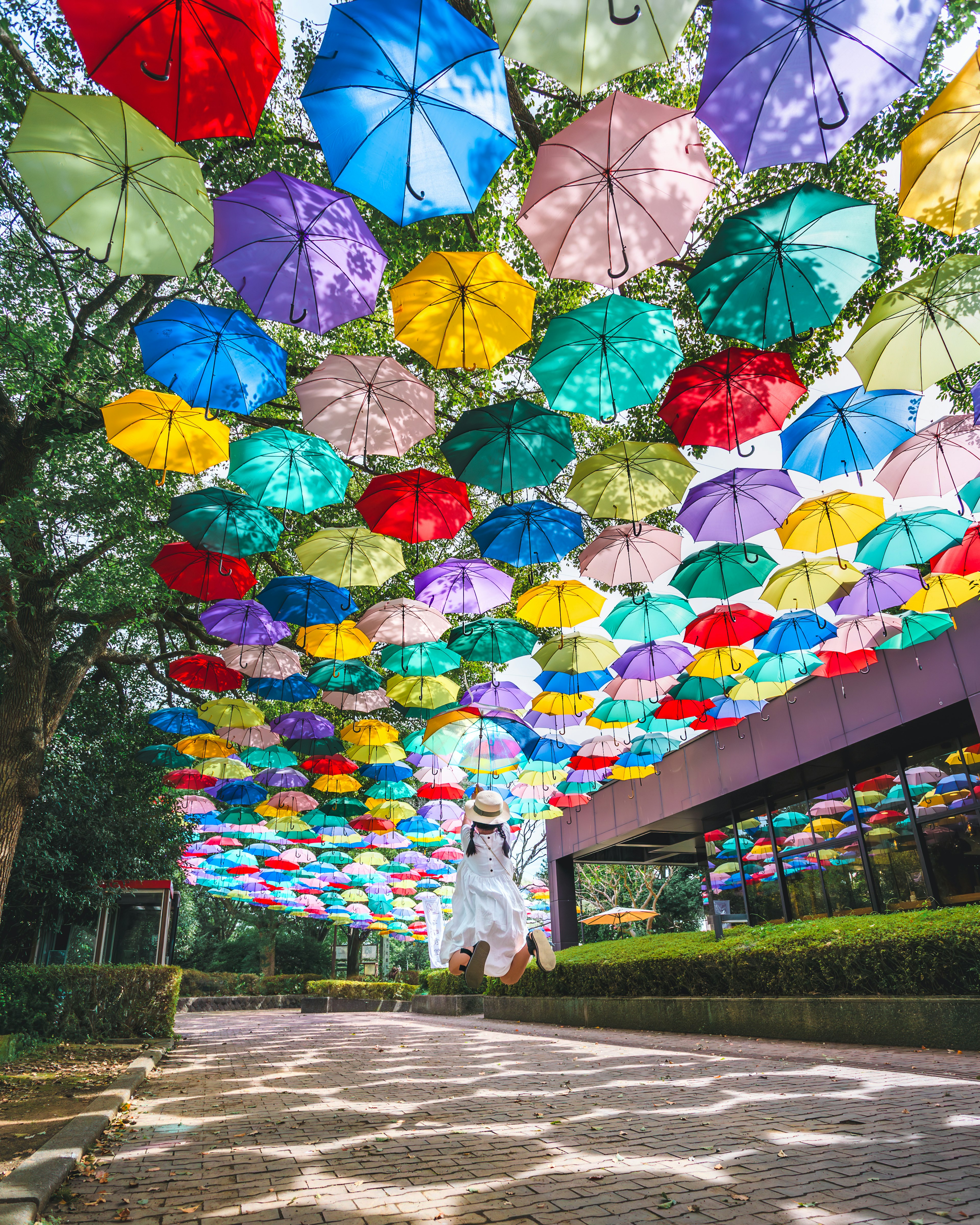 Colorful umbrellas suspended overhead in a vibrant display along a pathway with greenery