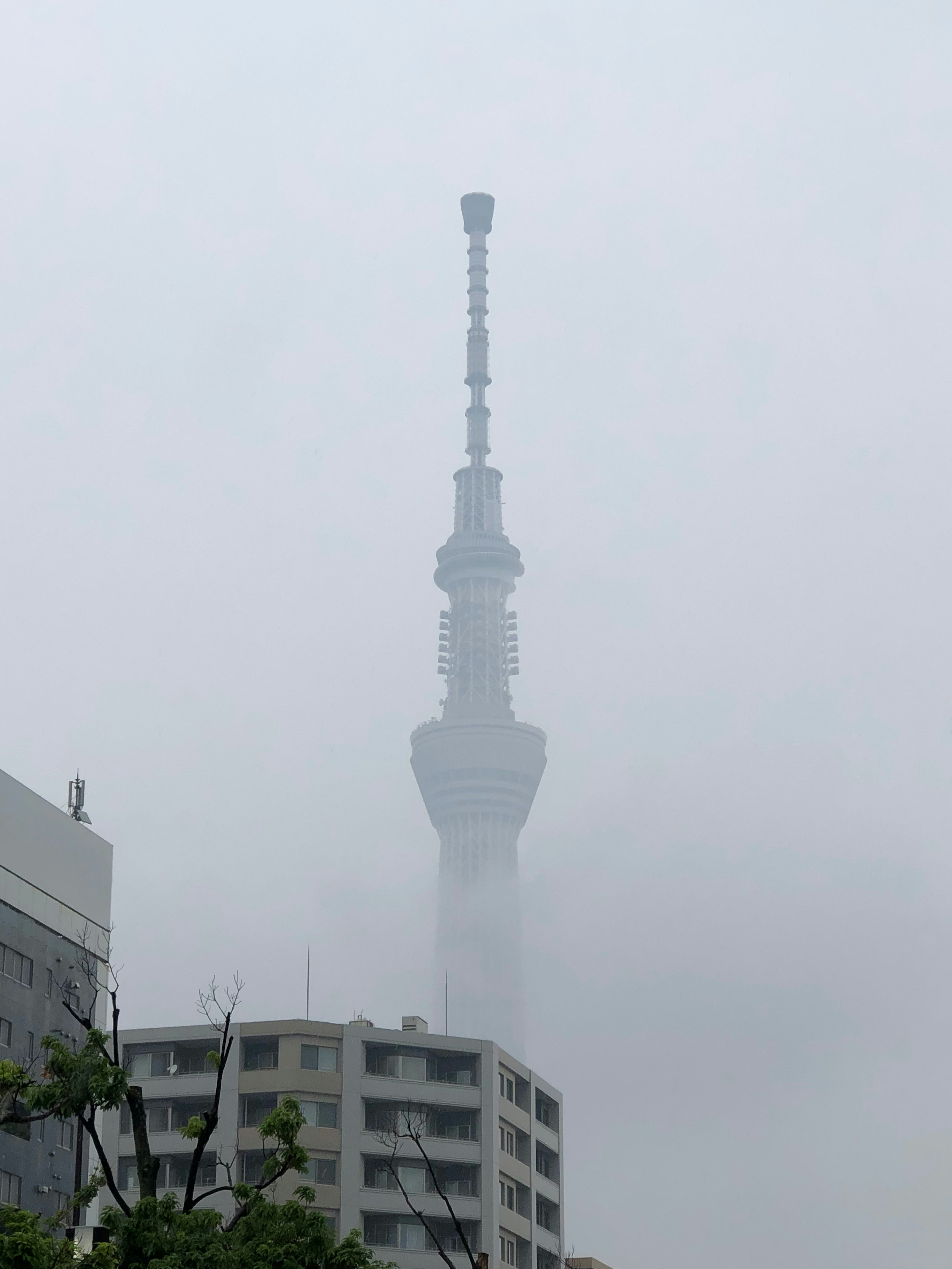 Tokyo Skytree emergiendo a través de la niebla