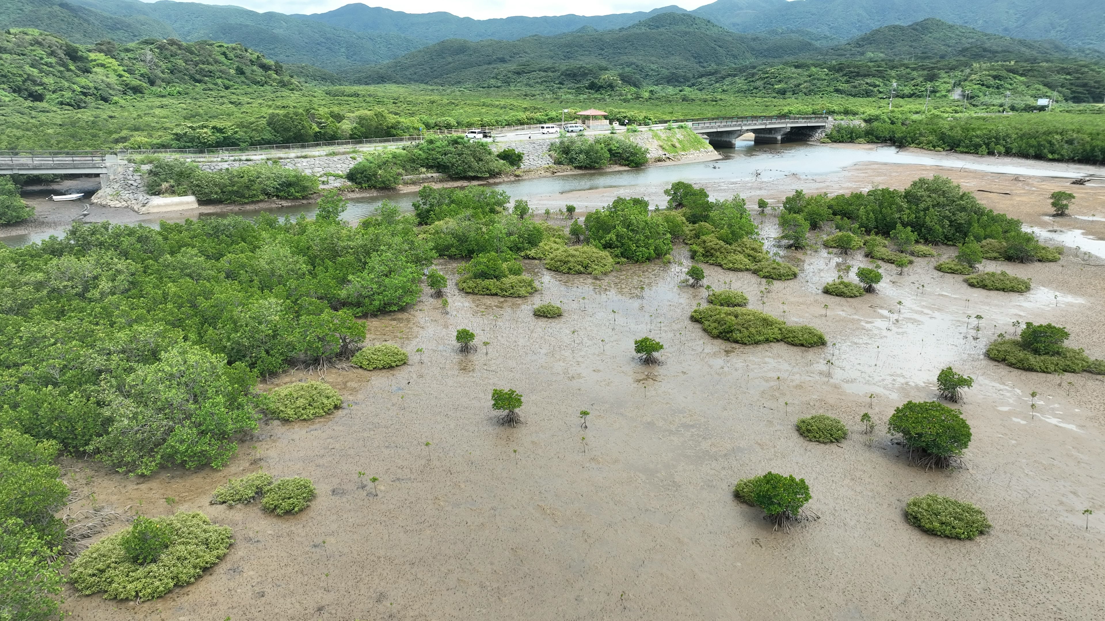 Lush green landscape affected by flooding with a bridge and mountains in the background