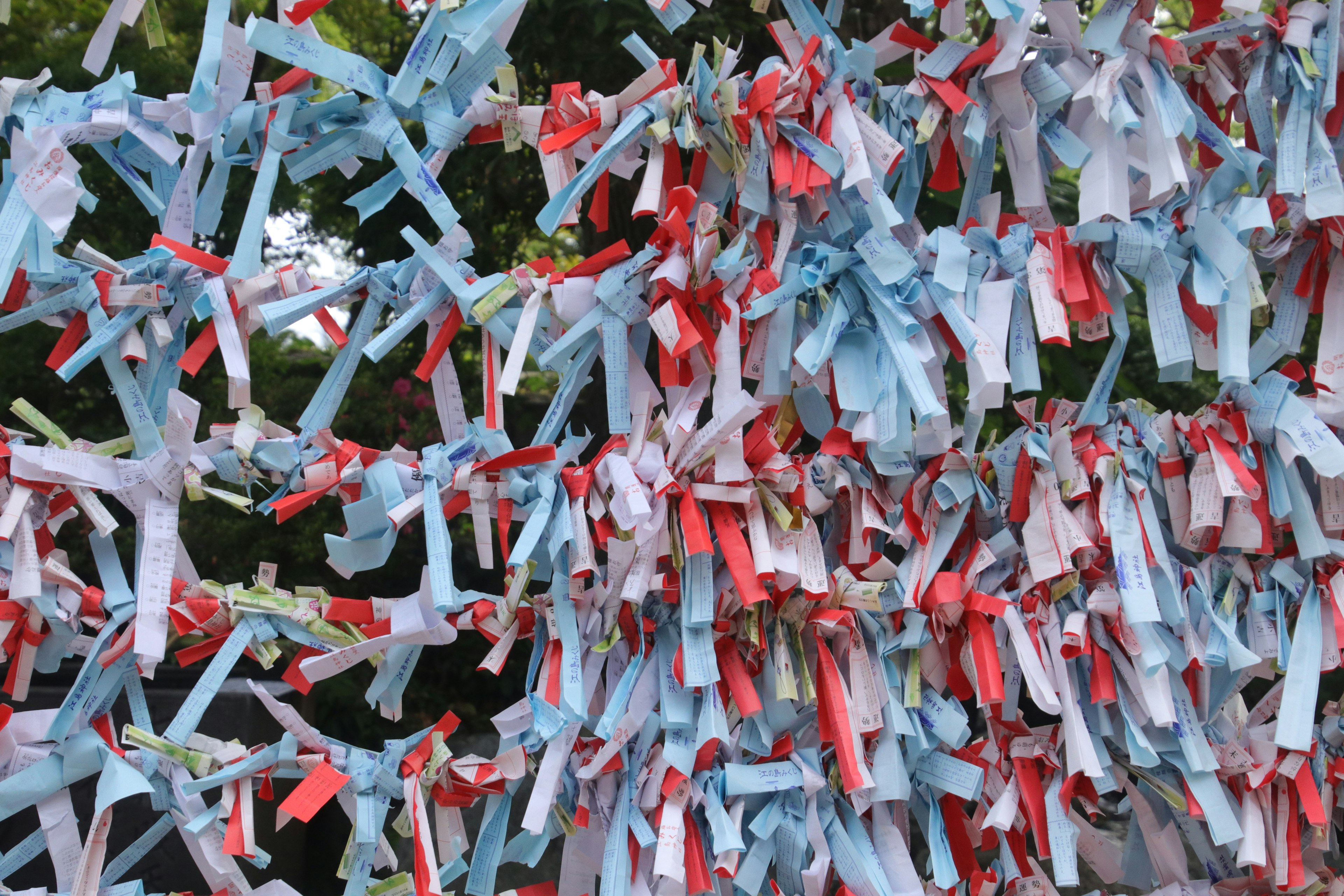 Colorful ribbons tied to branches creating a vibrant display