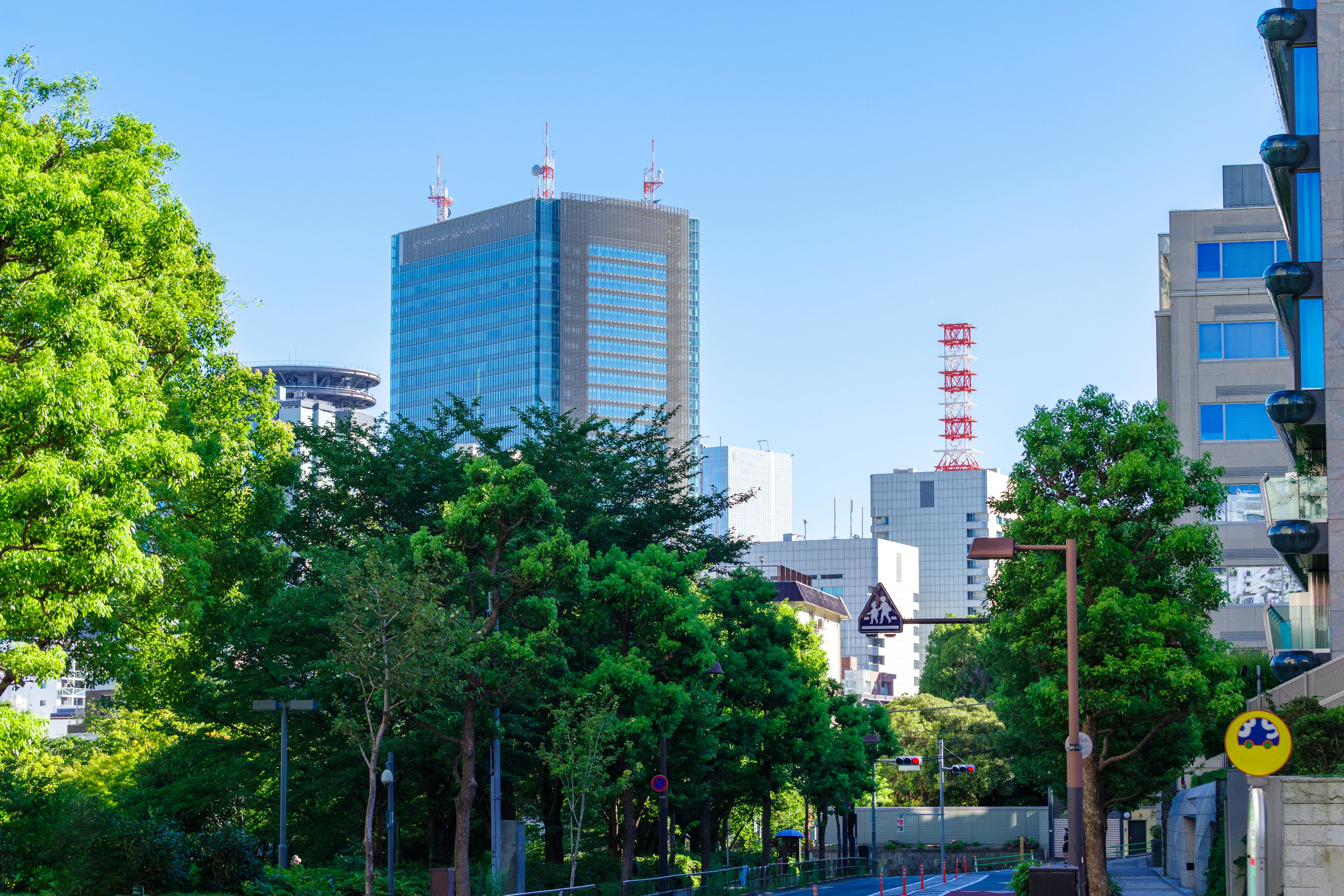 城市风景，绿色树木和摩天大楼在晴朗的蓝天下