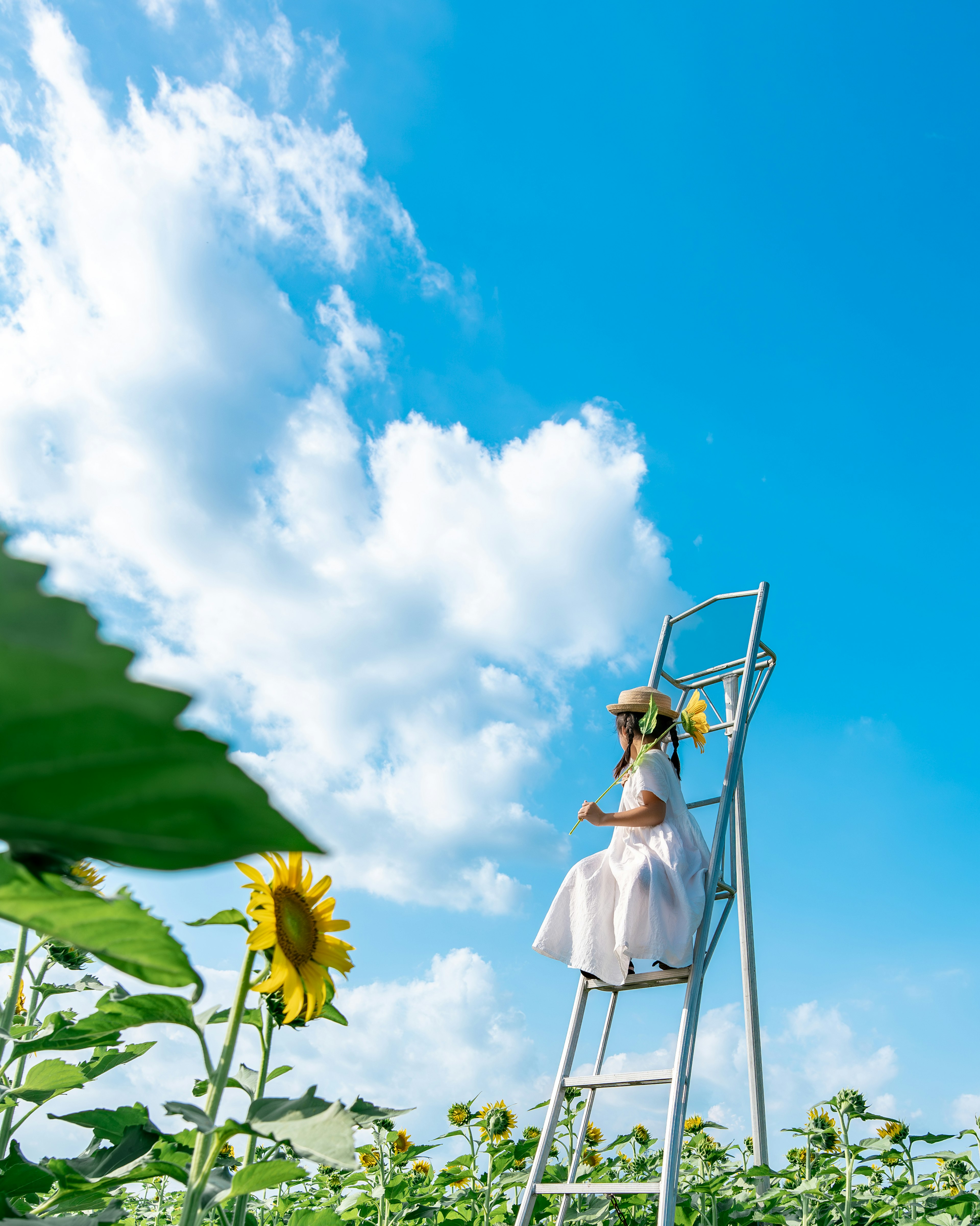 青空の下でひまわりの花の前に立つ白いドレスの少女