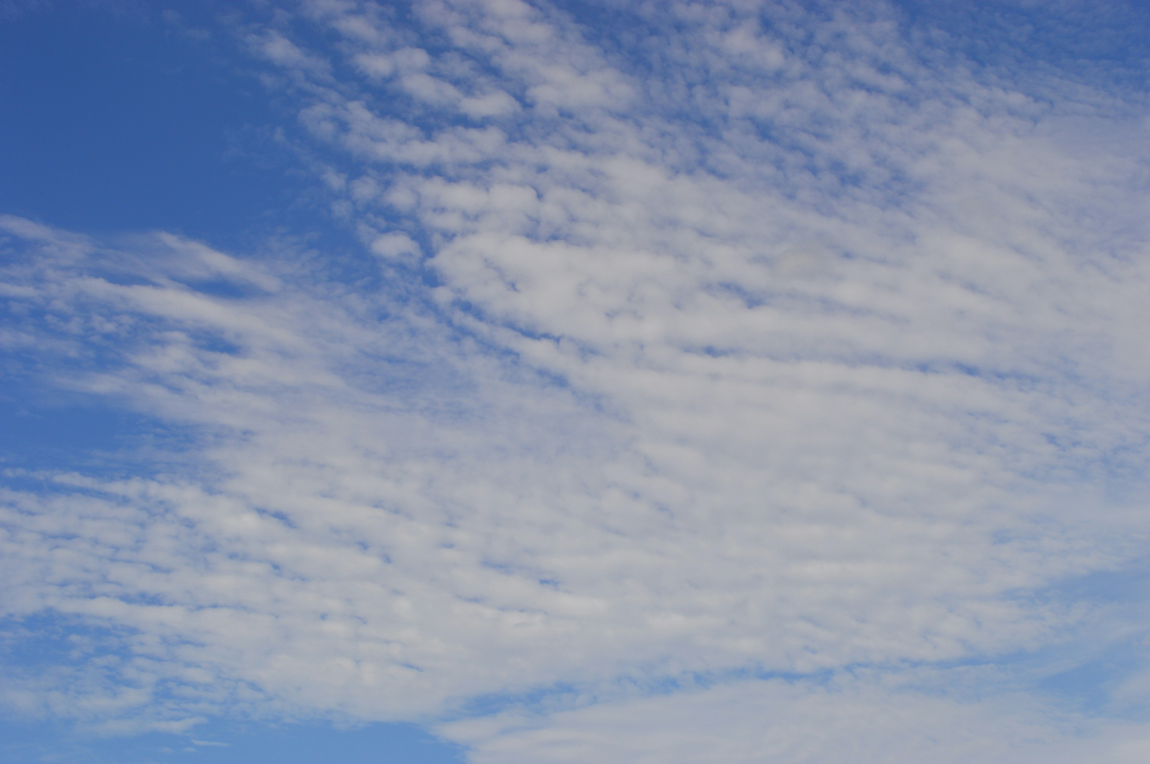 Pola awan putih di langit biru