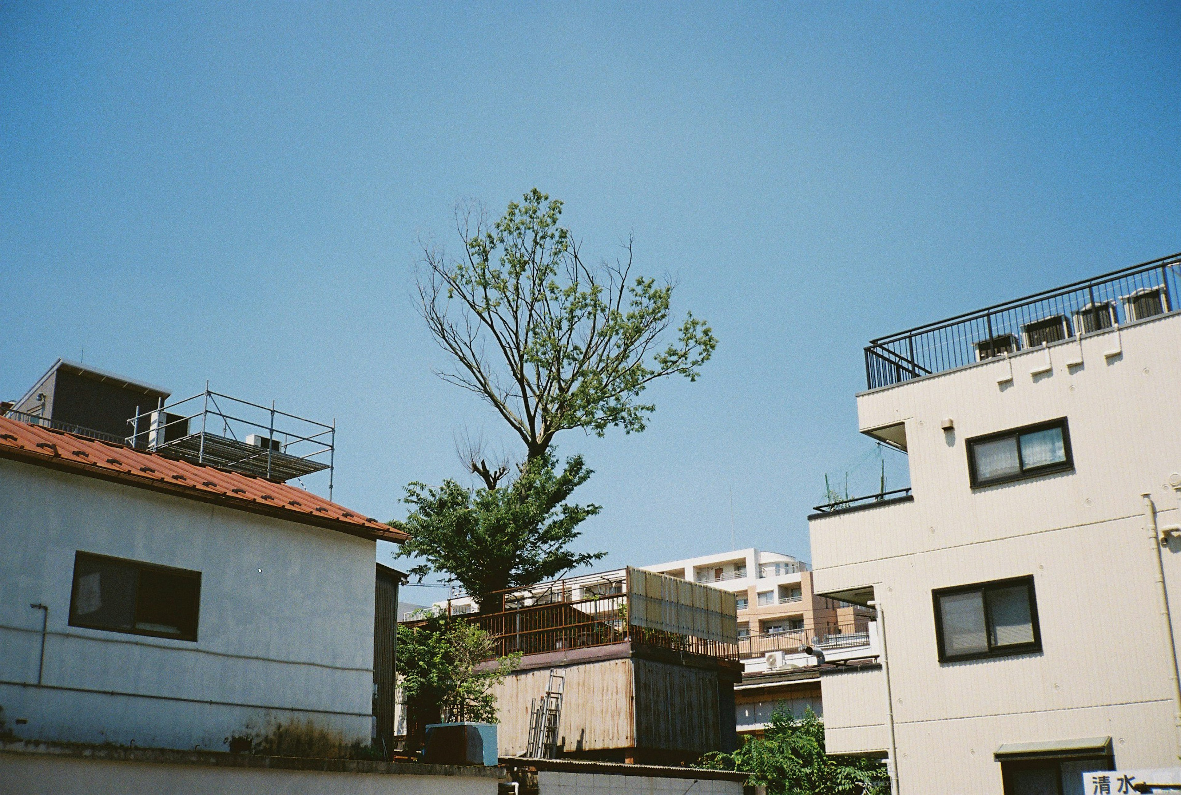 photo-lVygGjvr80kxmTwmCc1p-image
