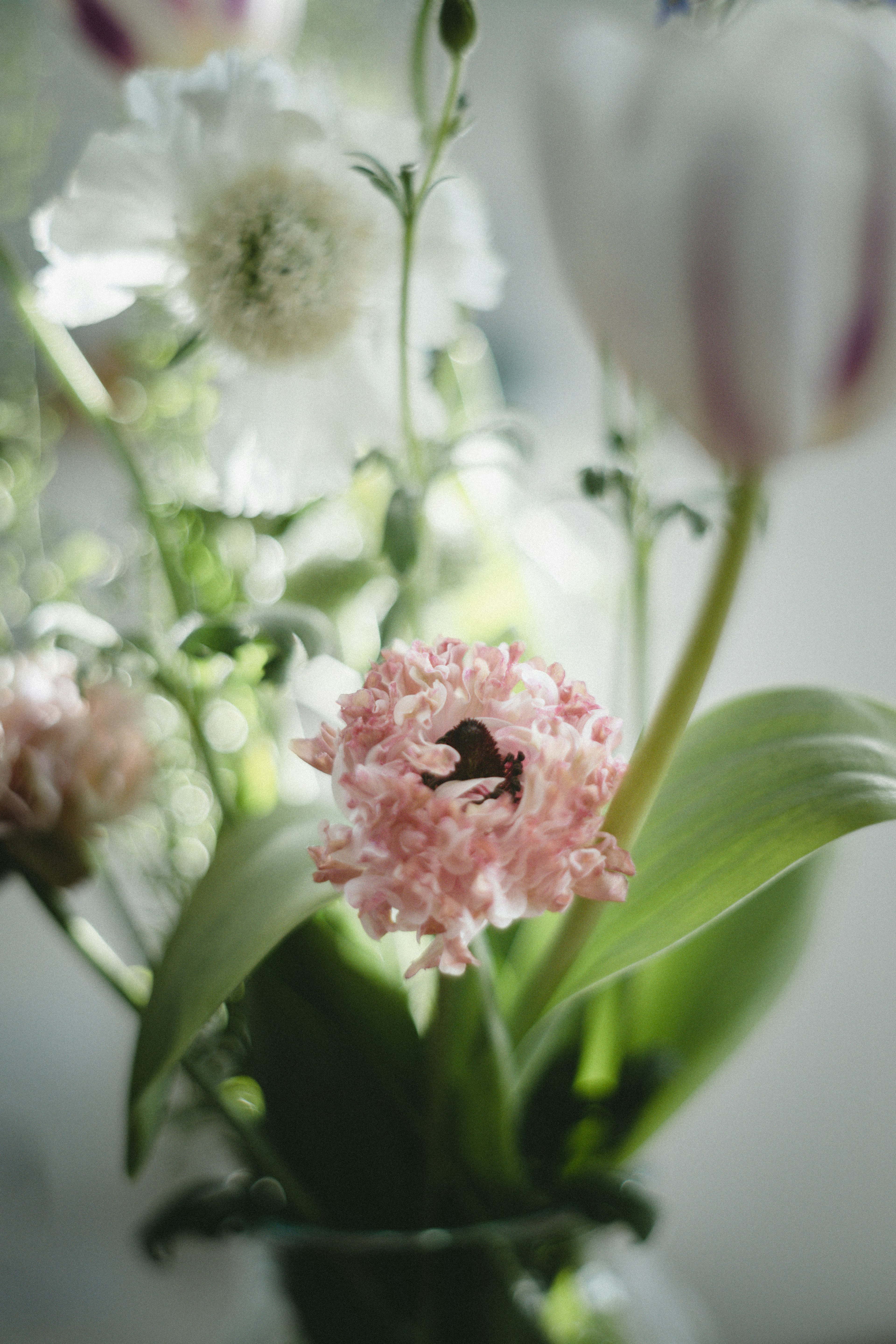 白いチューリップとピンクの花が特徴的な花瓶の花束