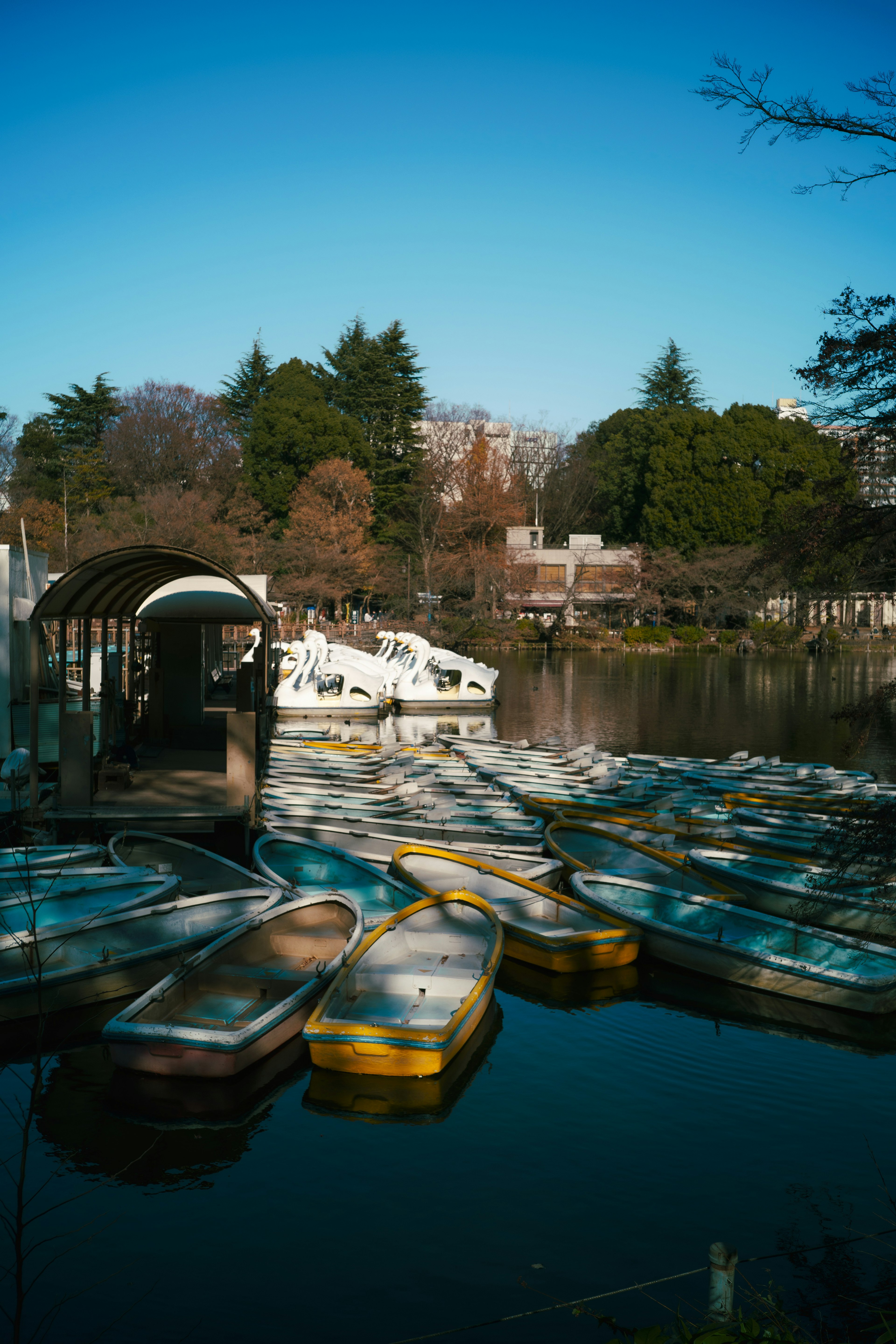 Colorful boats lined up on a serene lake with a clear blue sky