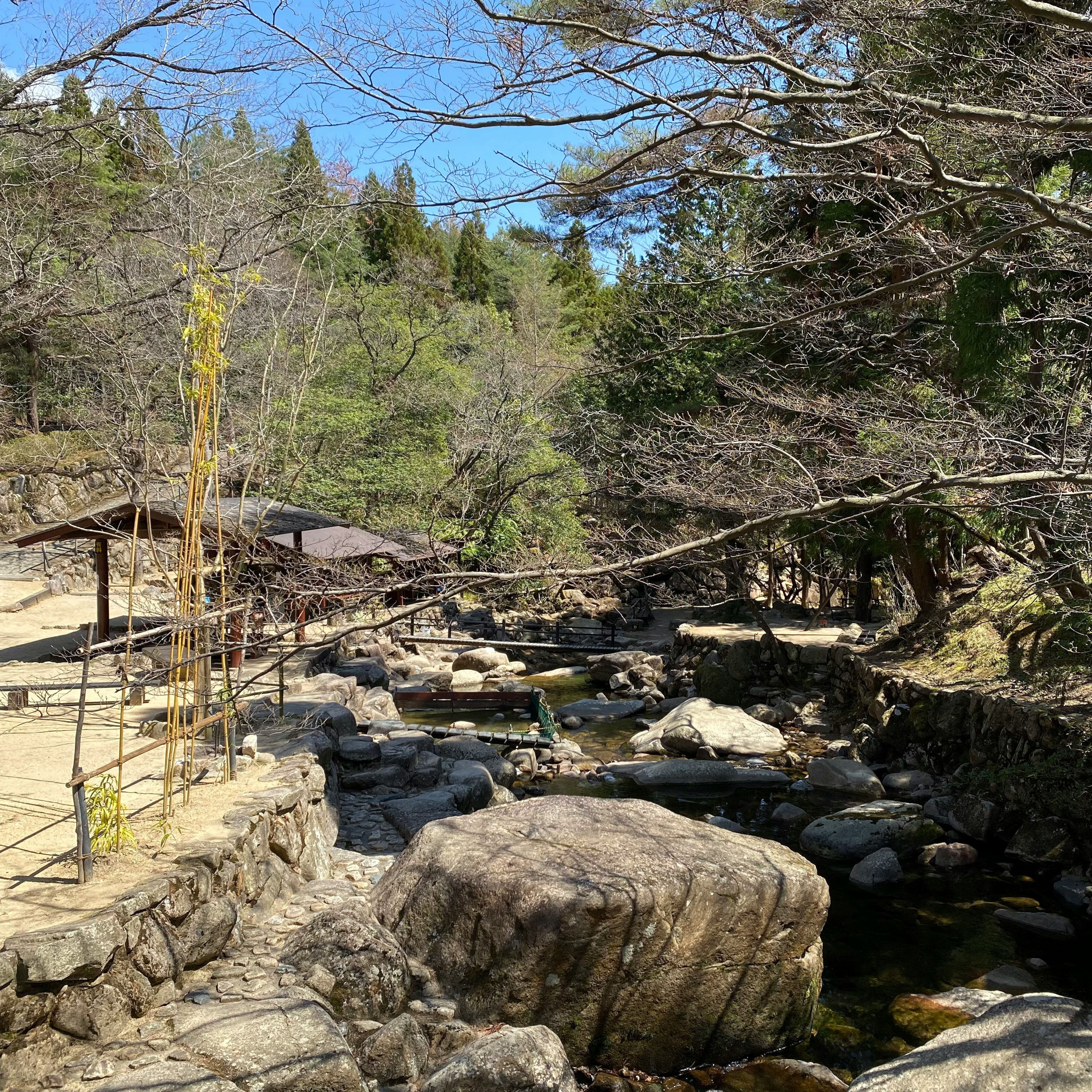 静かな川辺の風景 石や木々が点在する自然の景色