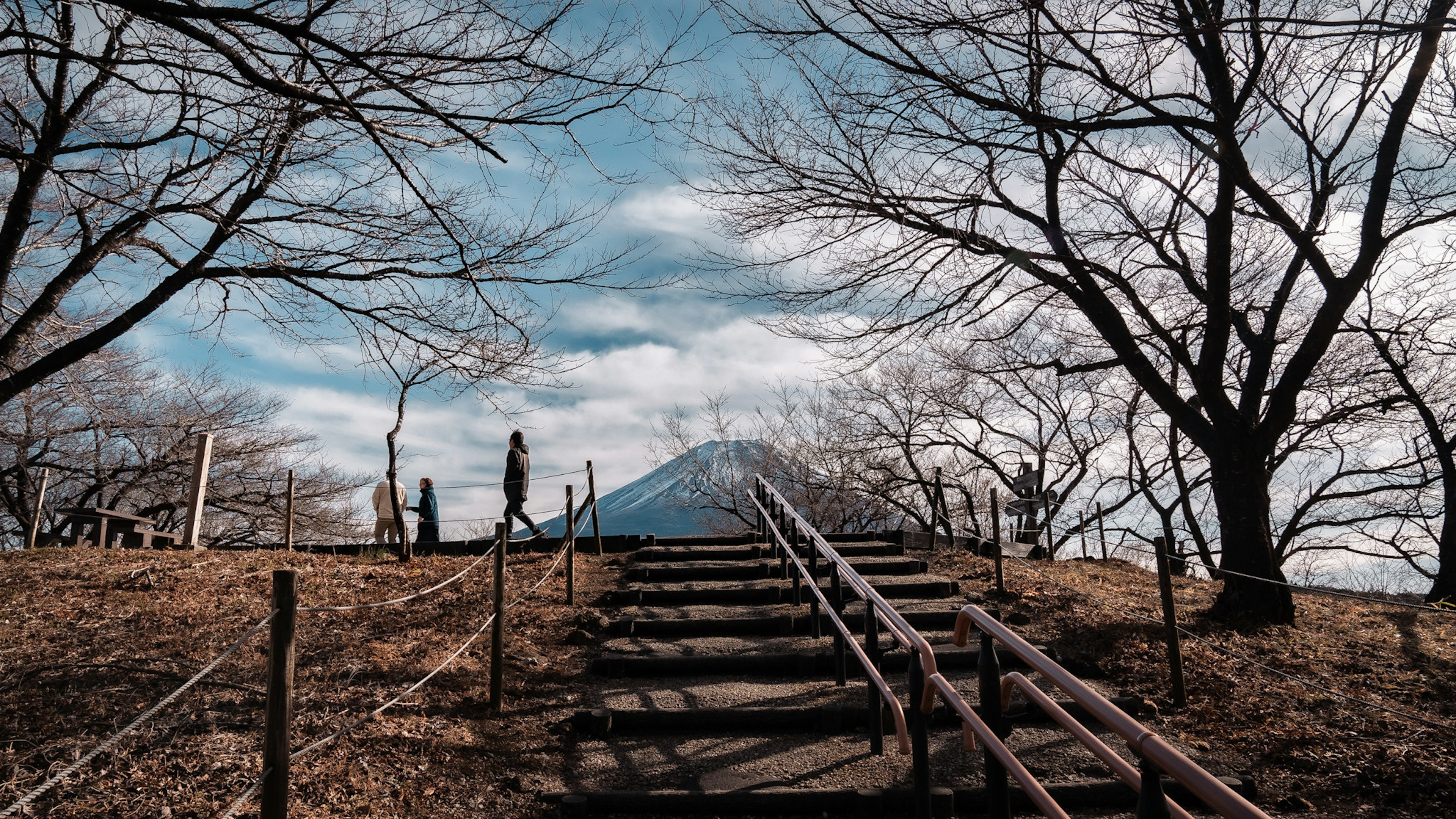 山へ続く階段と木々のある風景