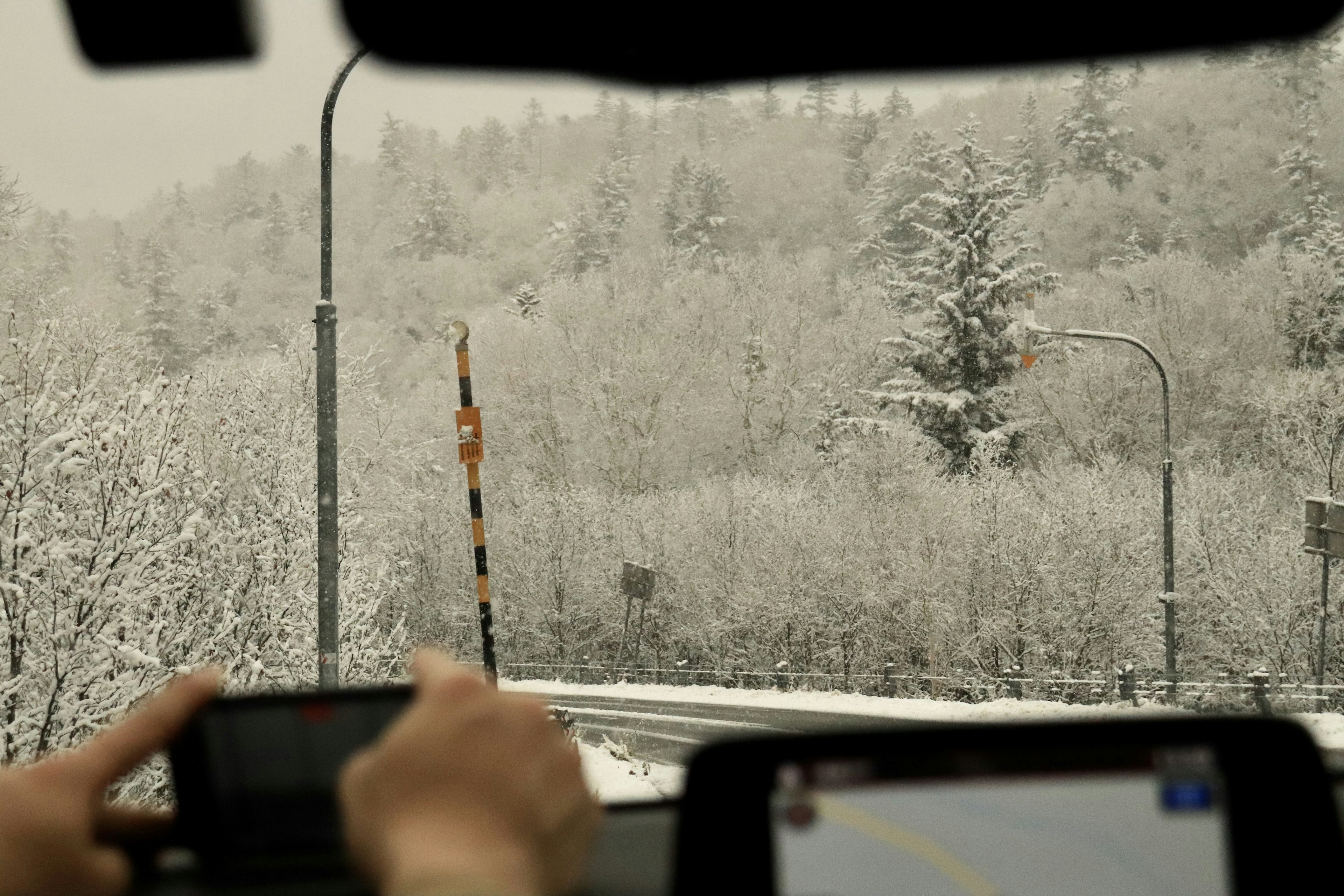 雪で覆われた木々と道路が見える車内の風景