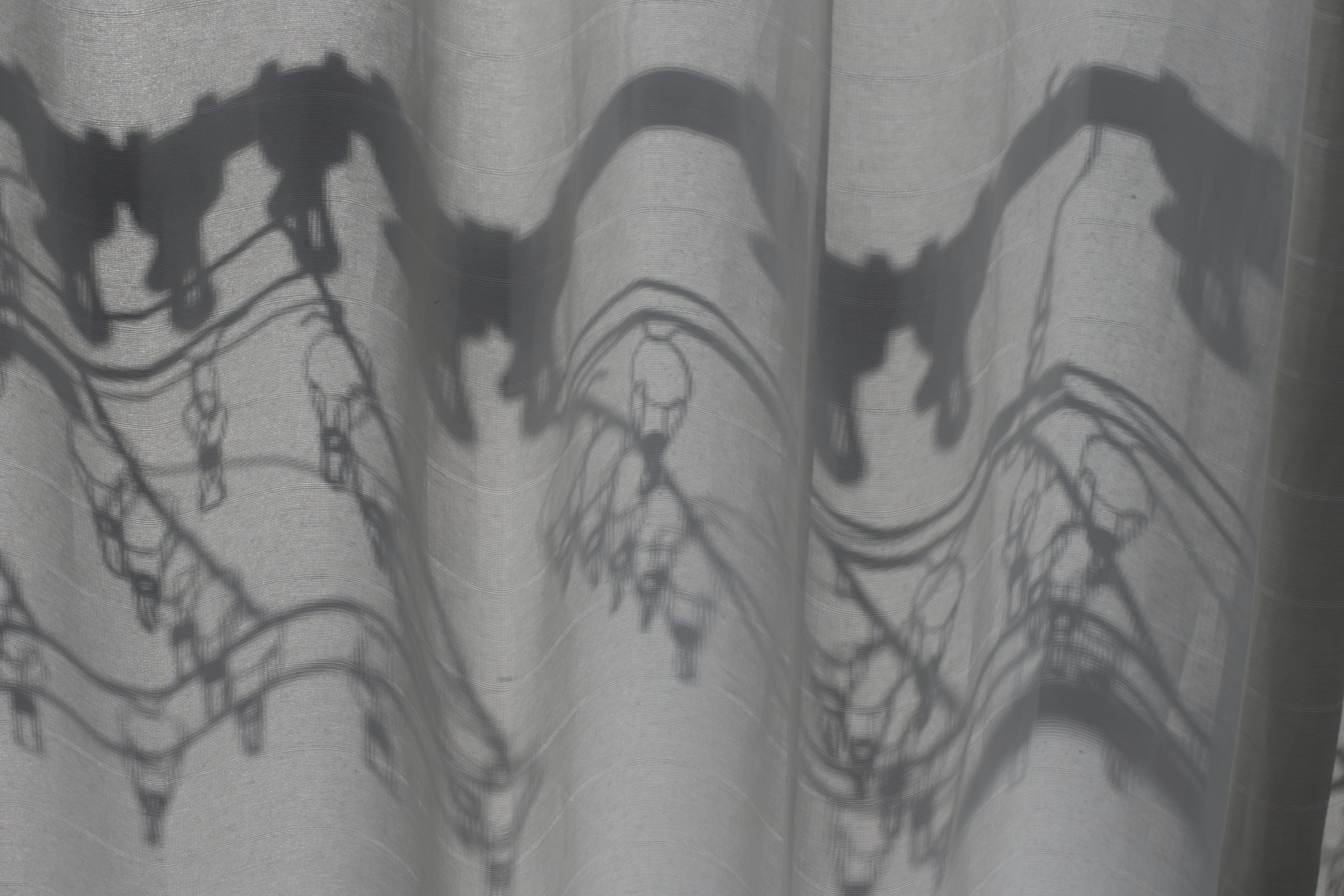 Unique patterns and designs created by curtain shadows