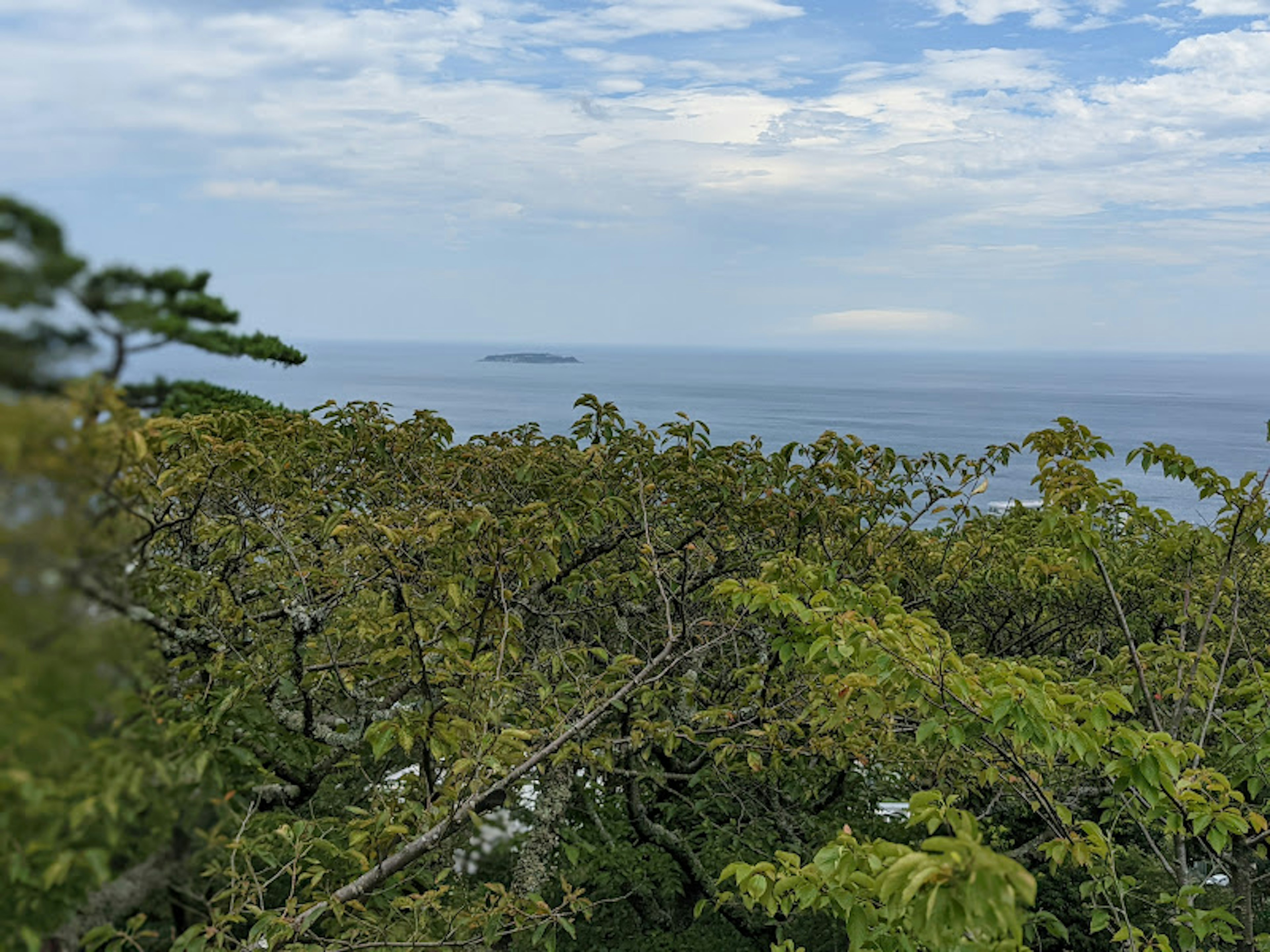 A view of blue ocean and clouds with green trees in the foreground