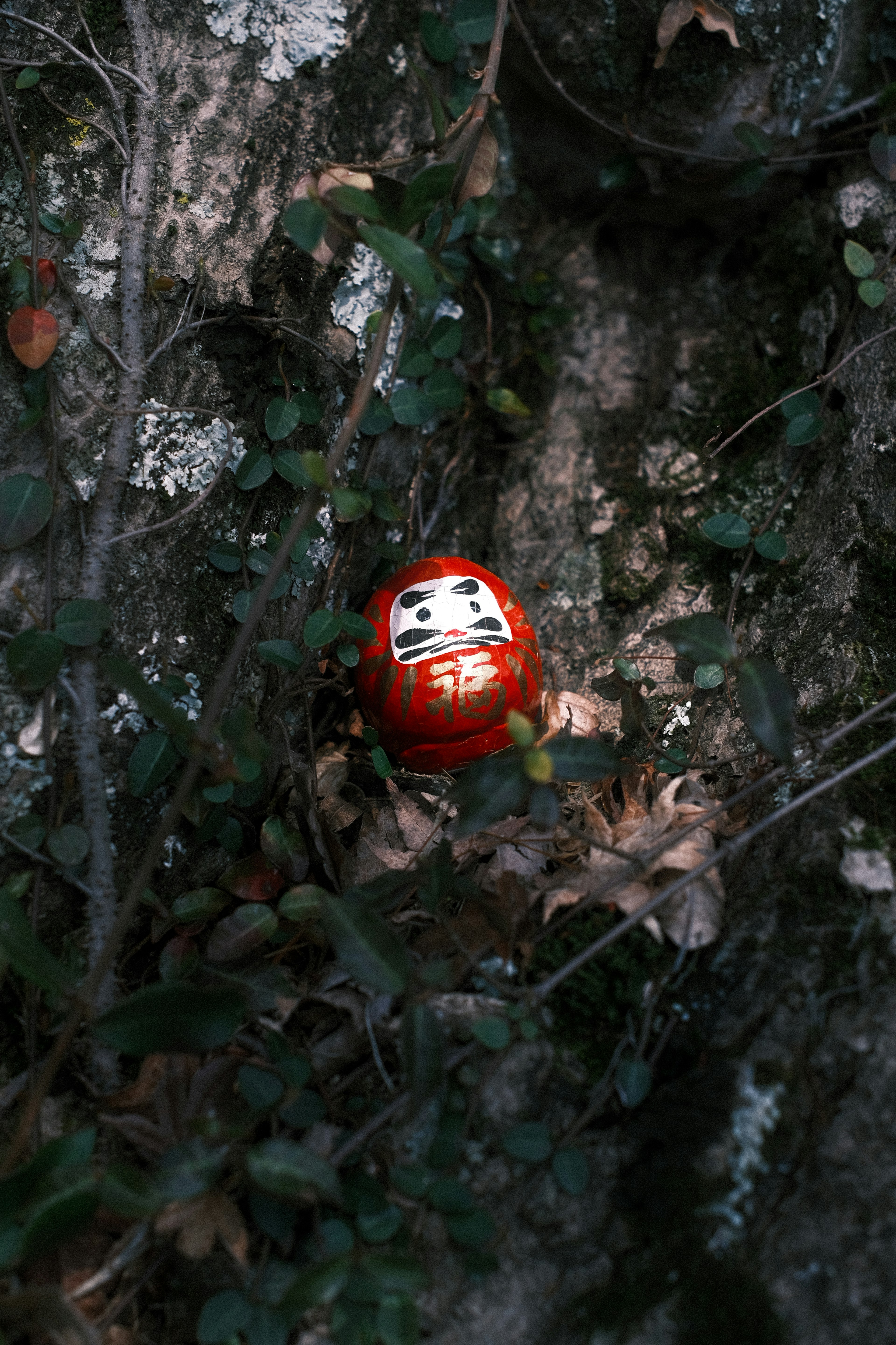 A red daruma doll nestled among green foliage