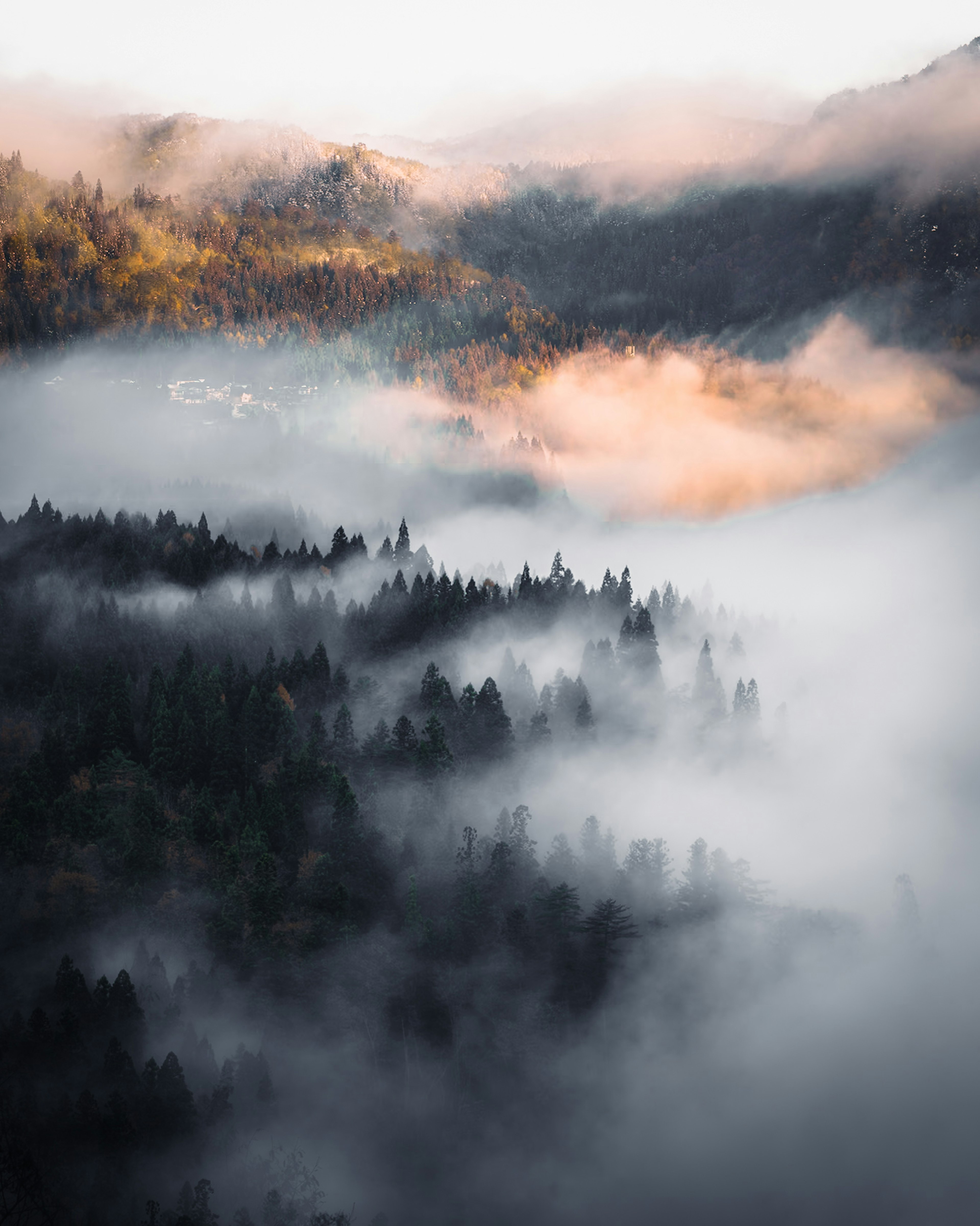 Nebeliger Landschaft von Bergen und Wäldern