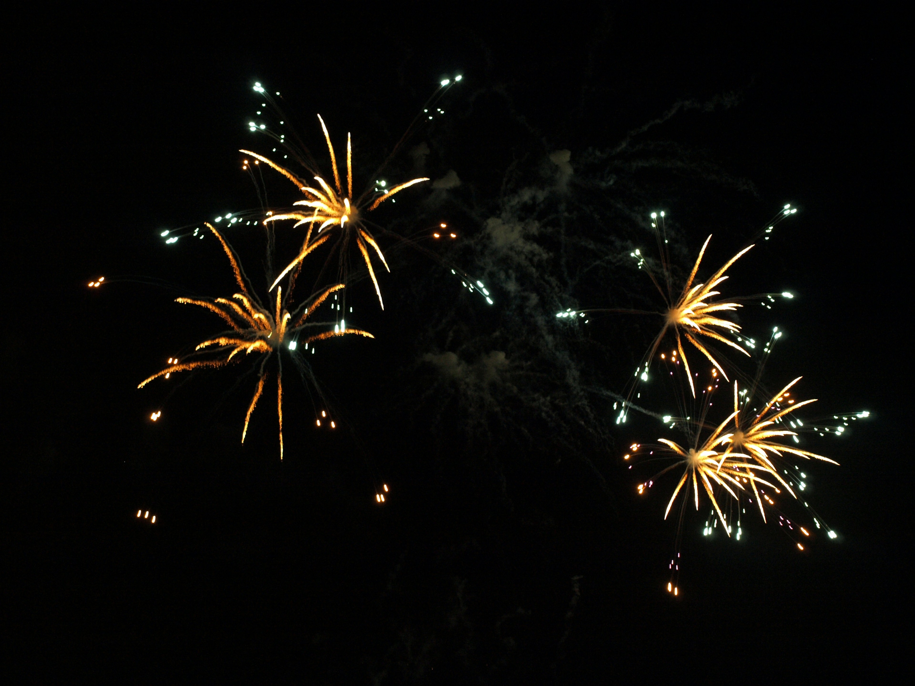 Fuegos artificiales coloridos estallando contra un cielo negro