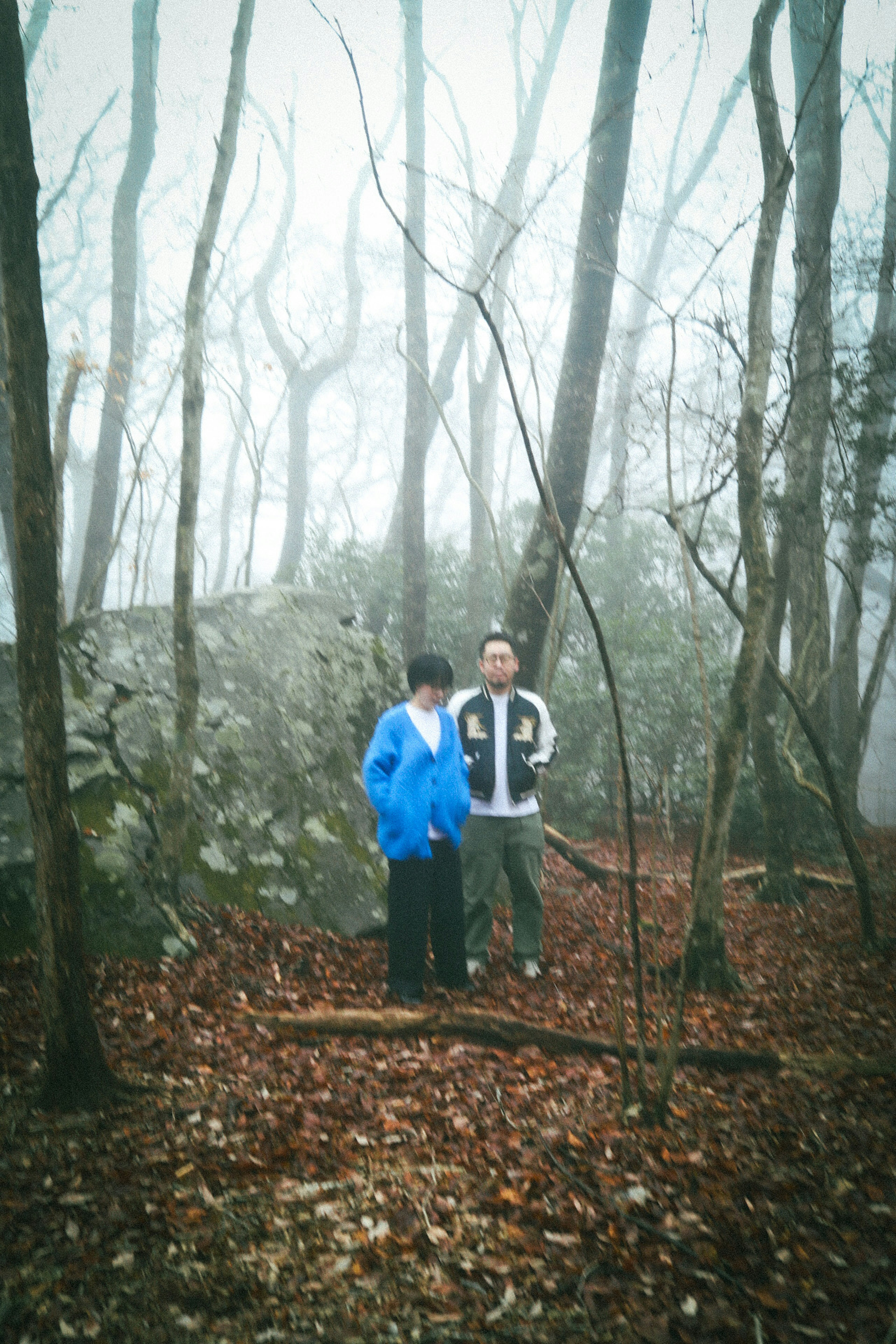 Zwei Personen stehen in einem nebligen Wald umgeben von kahlen Bäumen