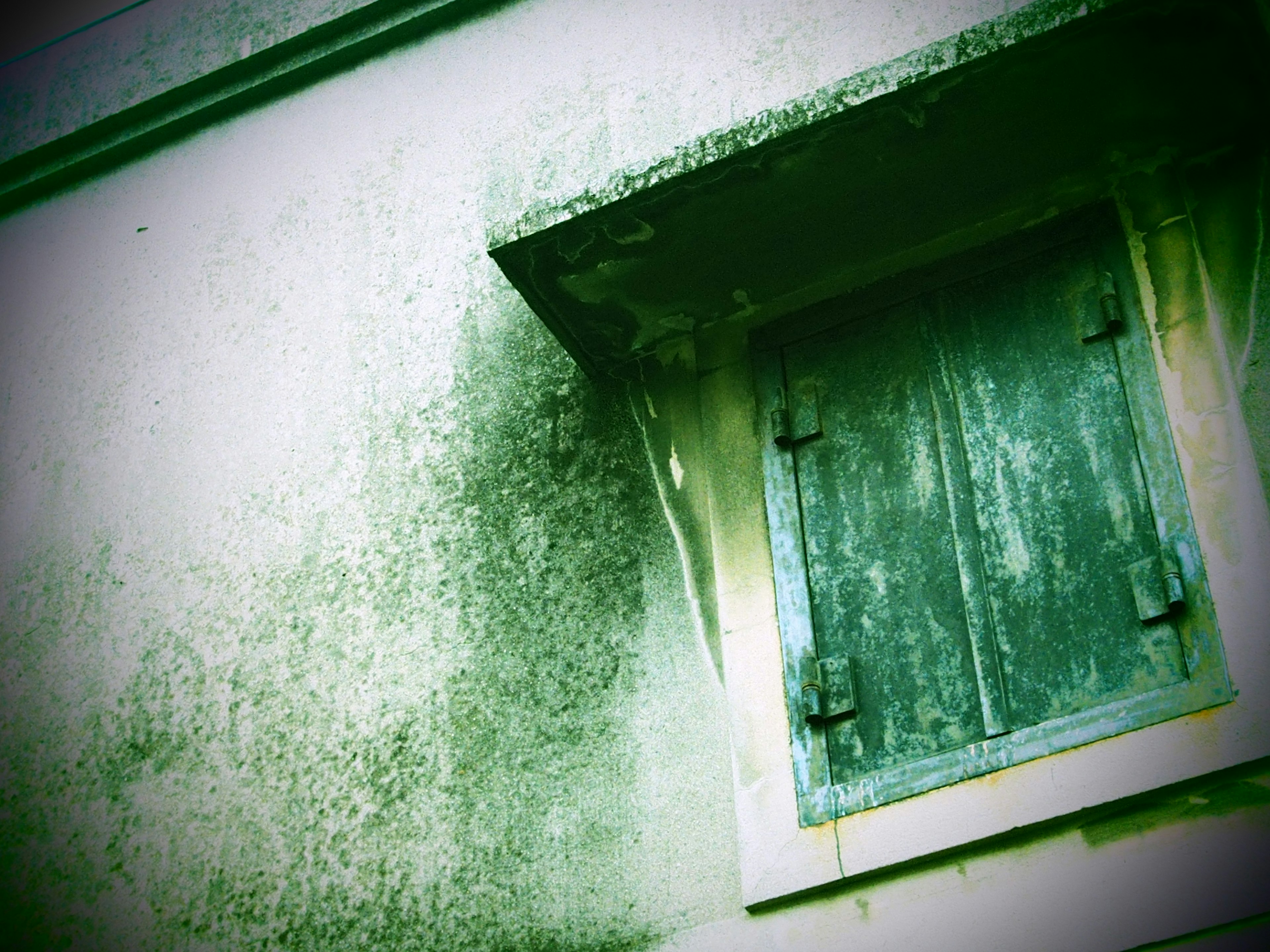 Closed window on a weathered wall with greenish tones