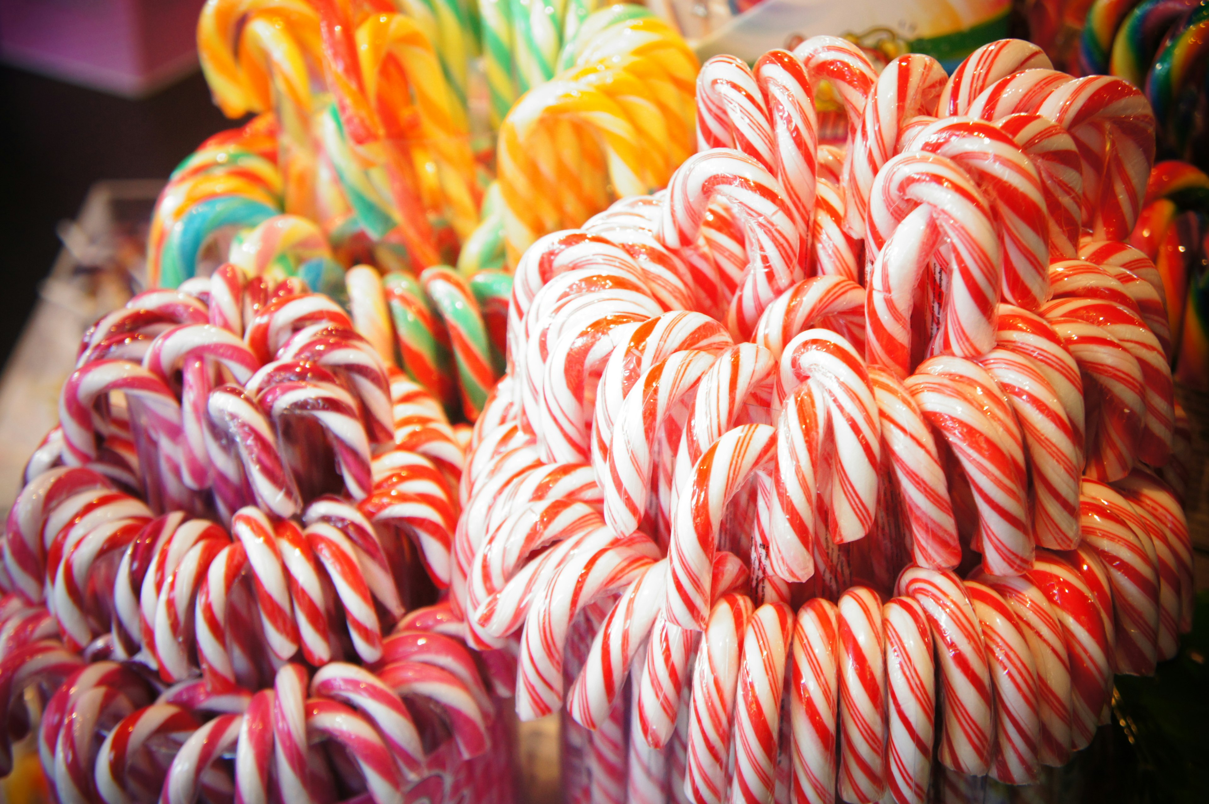 Colorful candy canes arranged in a candy shop display