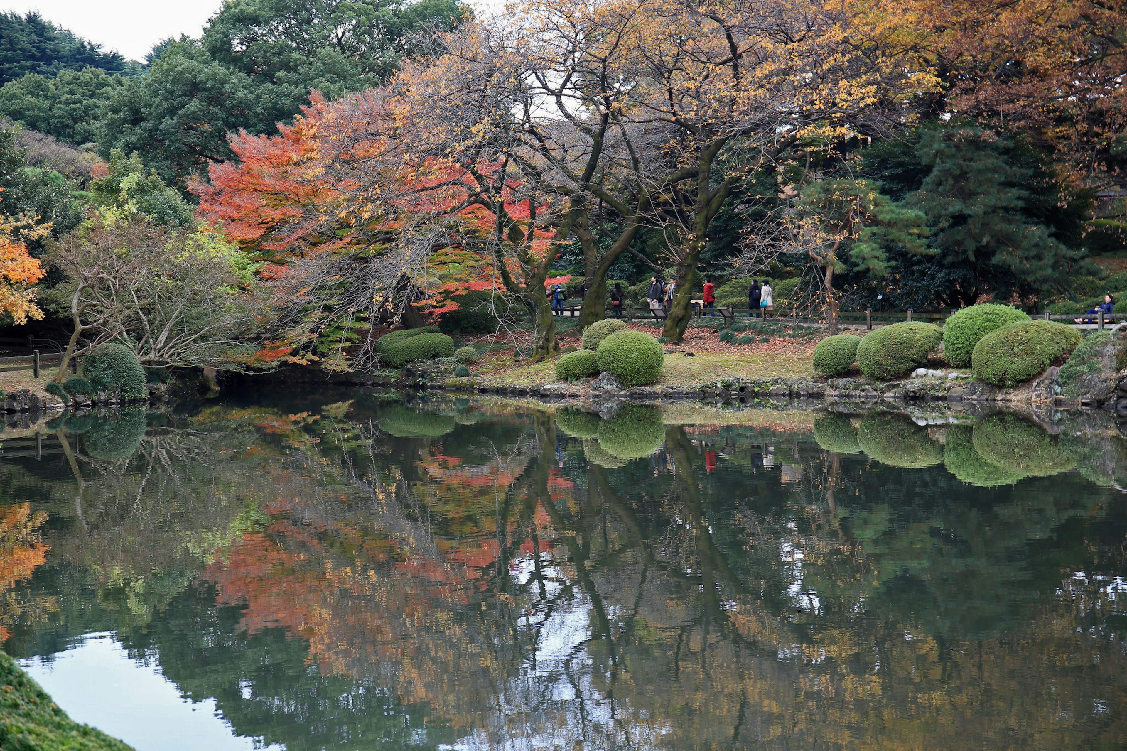 Tranquil pond scene reflecting autumn foliage