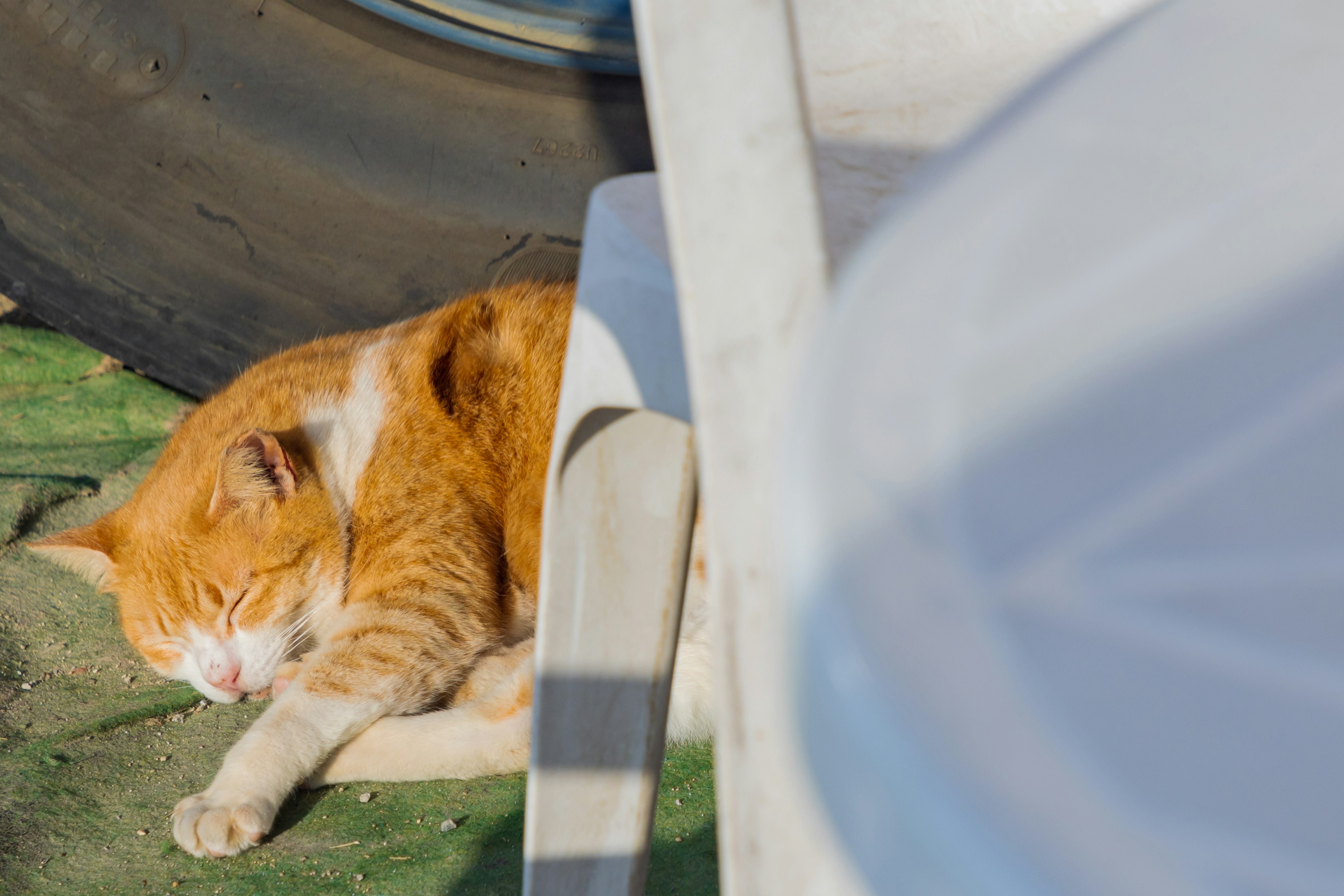 An orange cat sleeping peacefully in the sun on a green surface