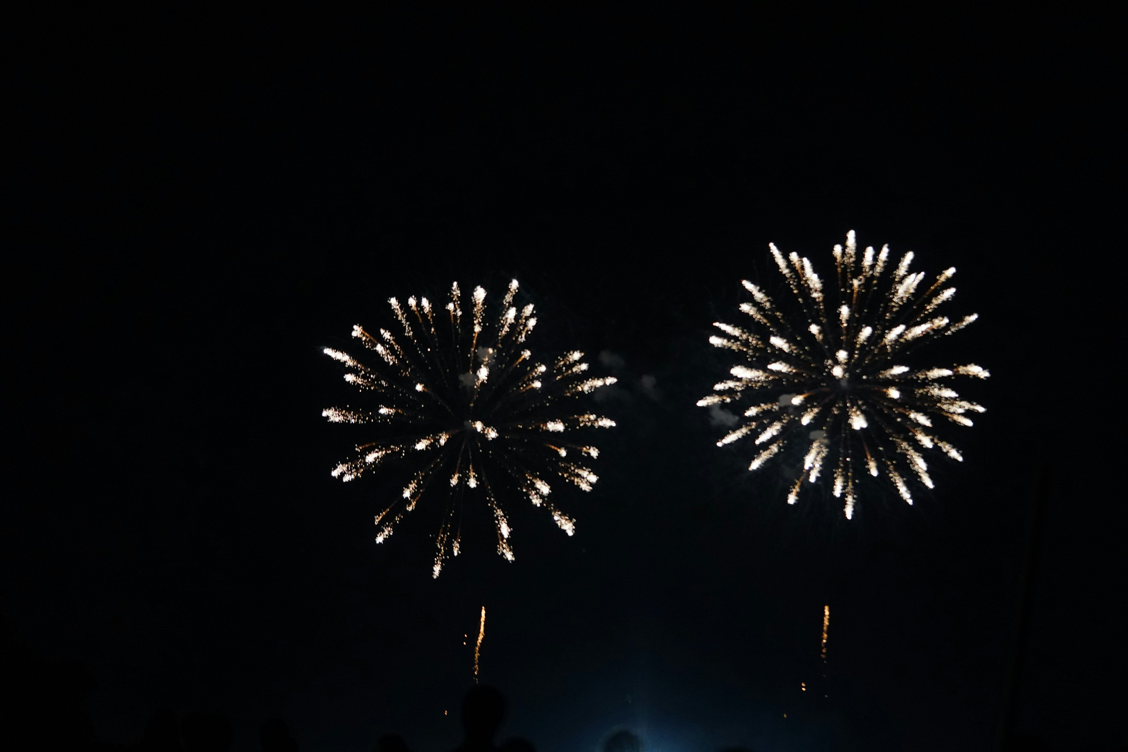 Two large fireworks bursting in the night sky