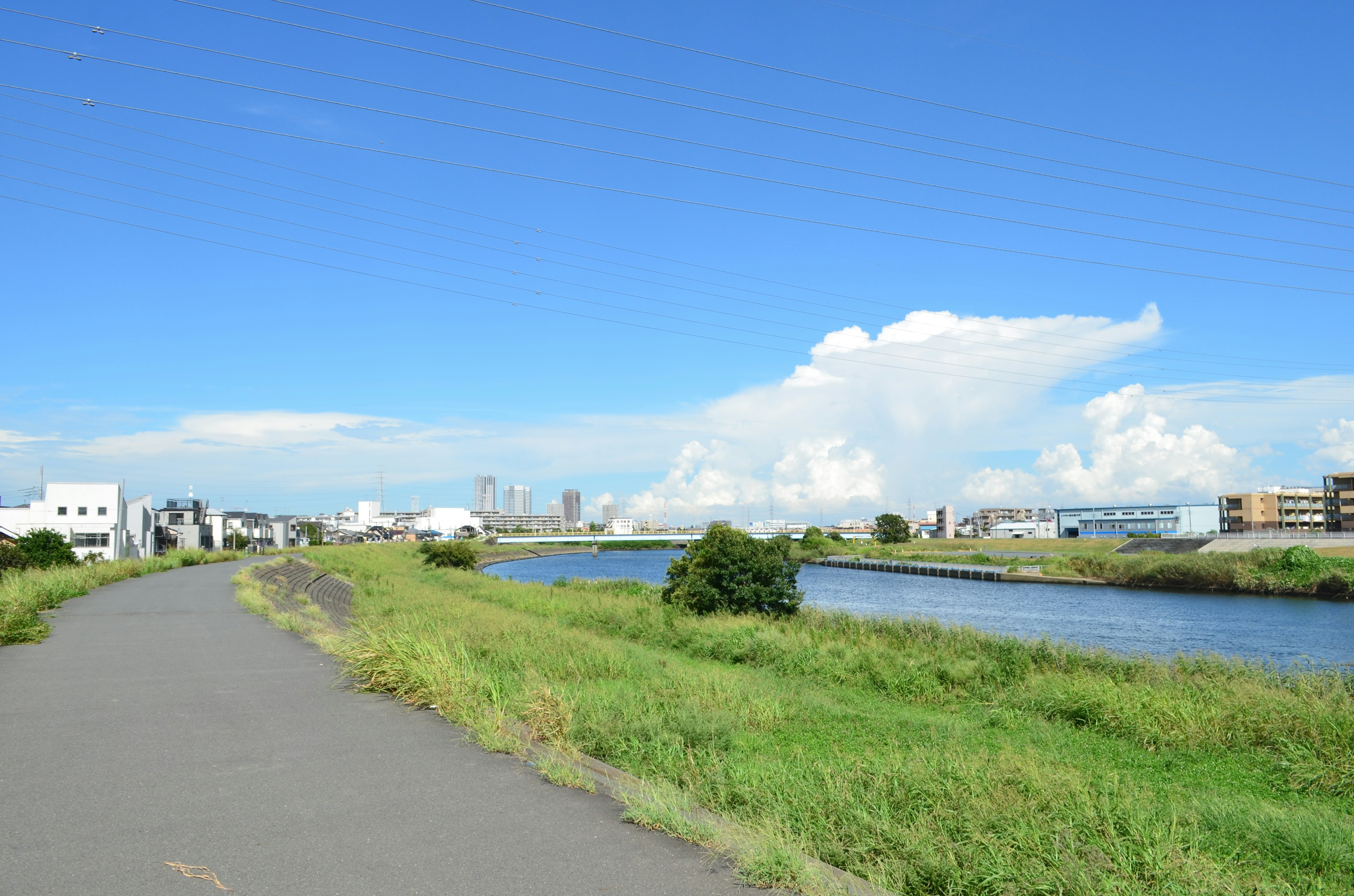 Scenic riverside path under a blue sky with fluffy white clouds