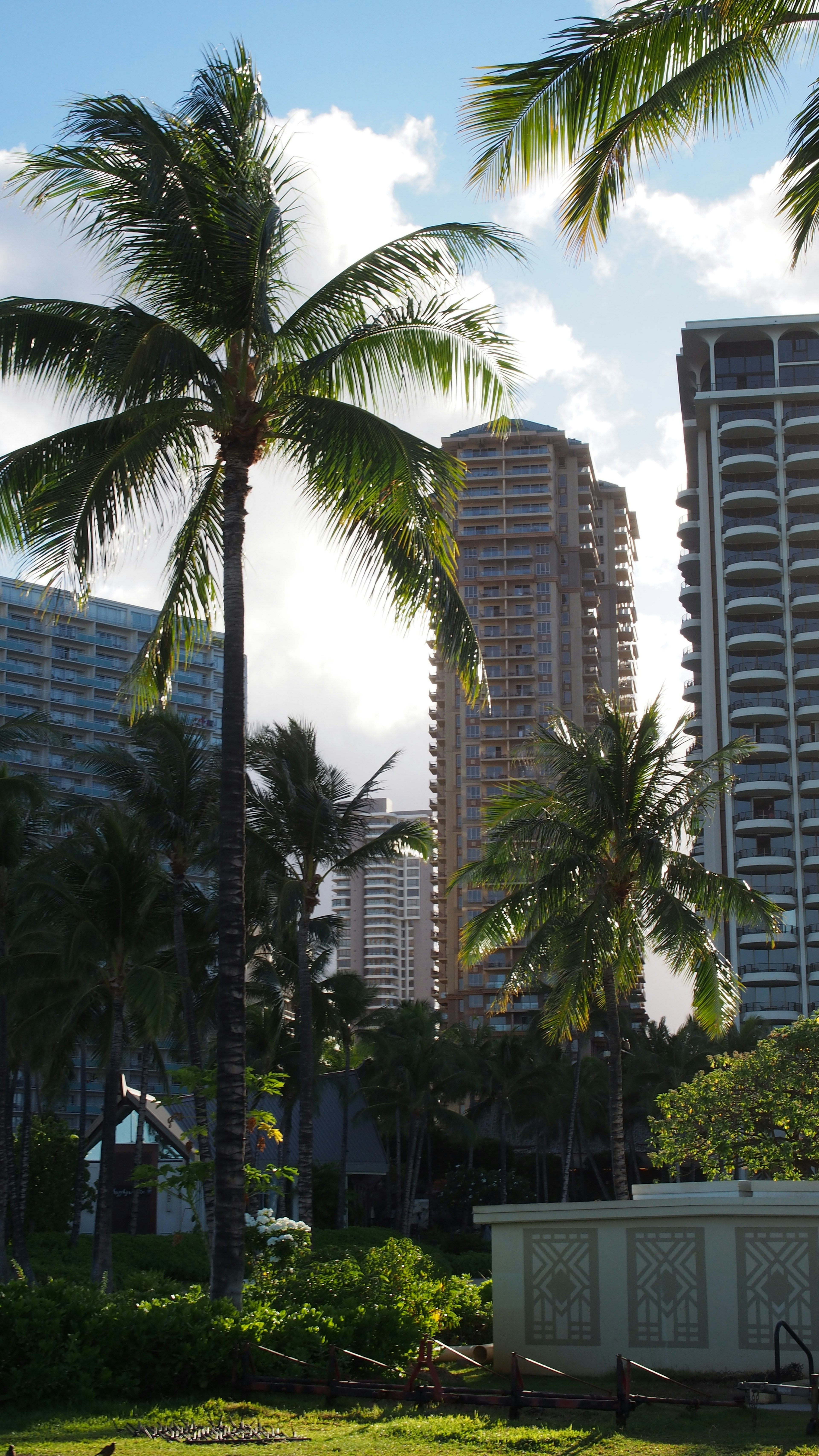 View of tall buildings with palm trees