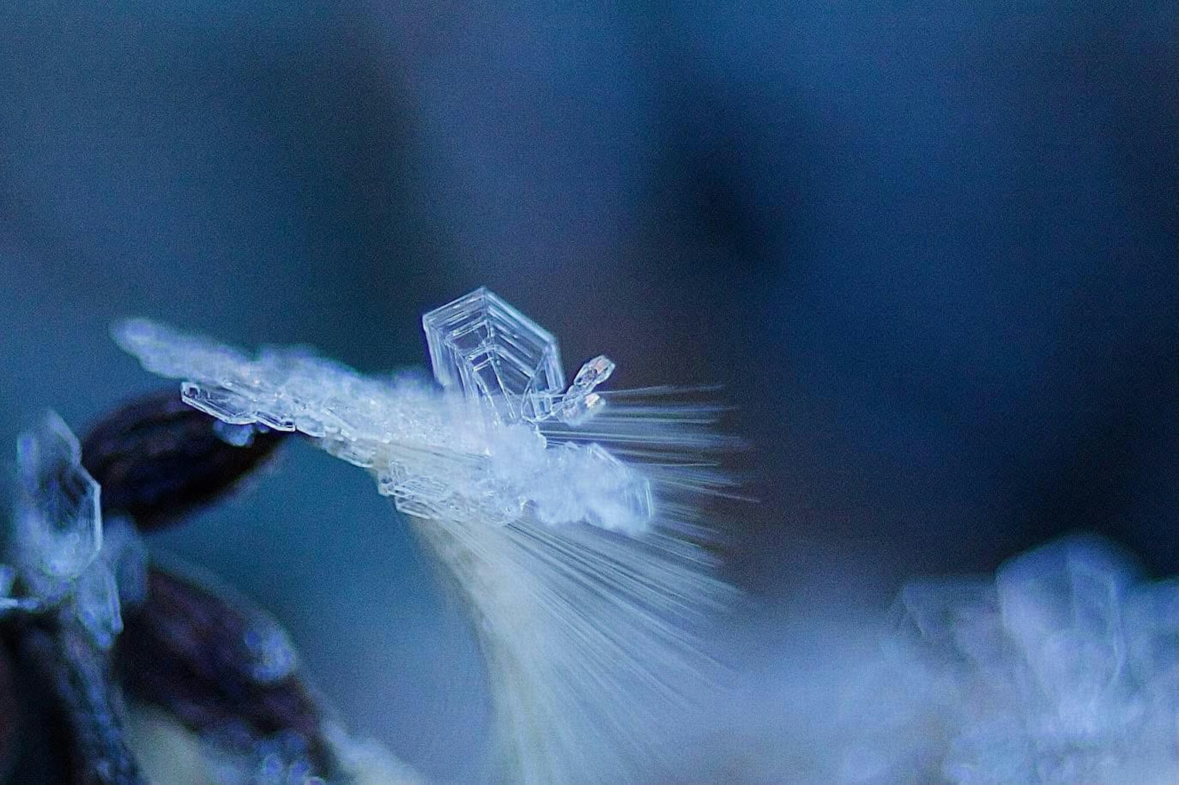 Nahaufnahme von zarten Eiskristallstrukturen vor blauem Hintergrund