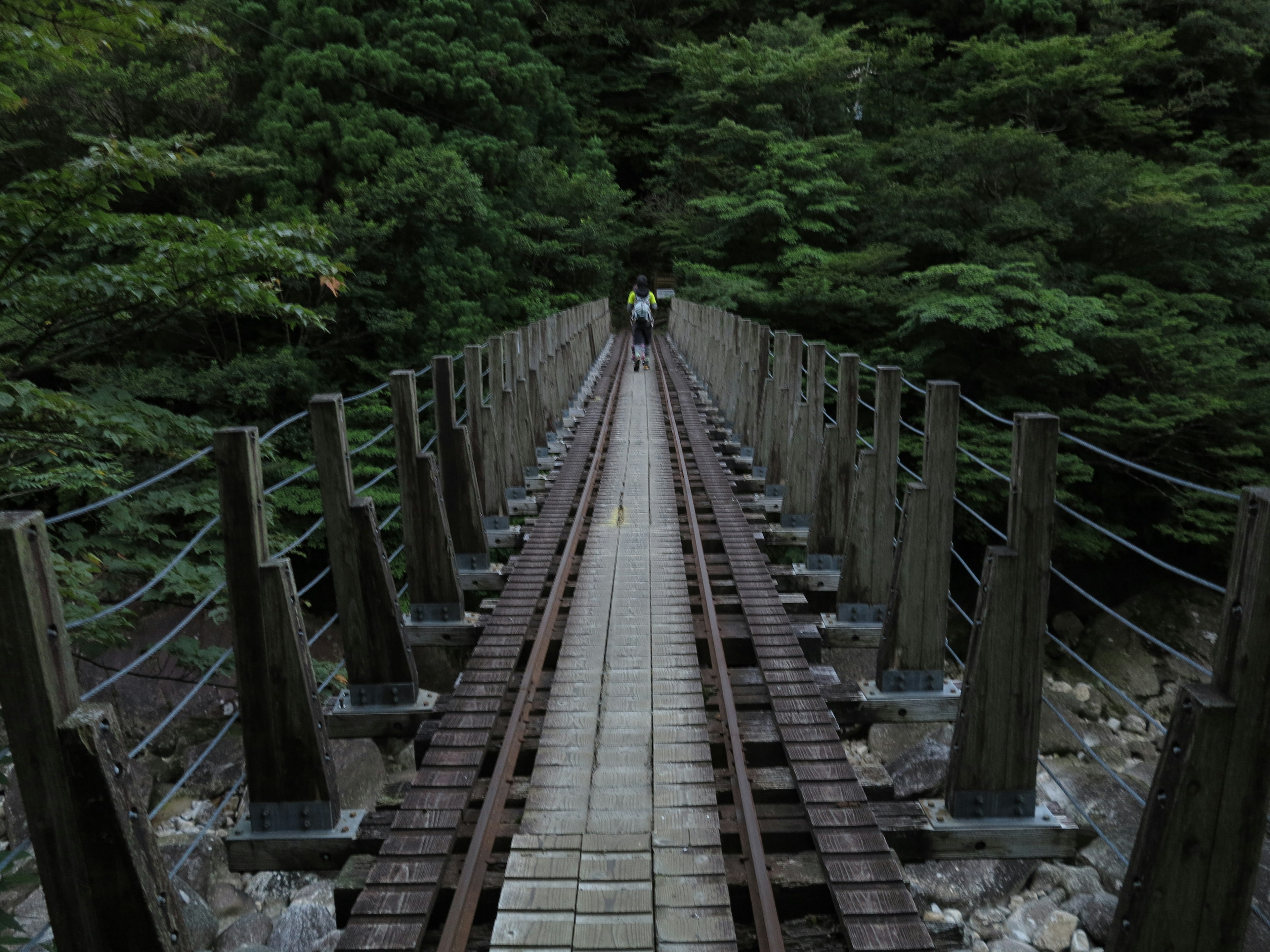 Ponte sospeso in legno in una foresta con due persone che camminano