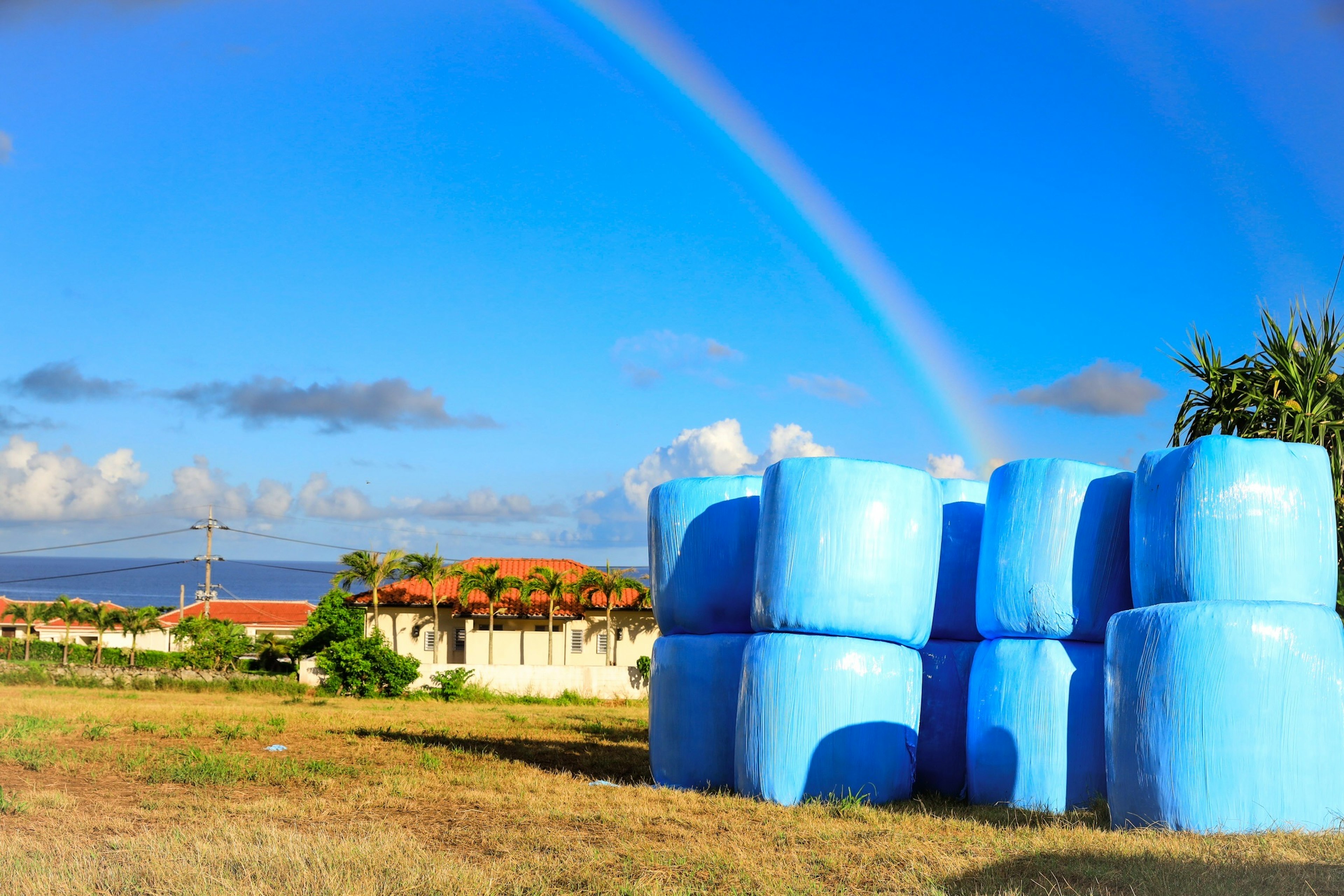 Blue hay bales with a rainbow in the background