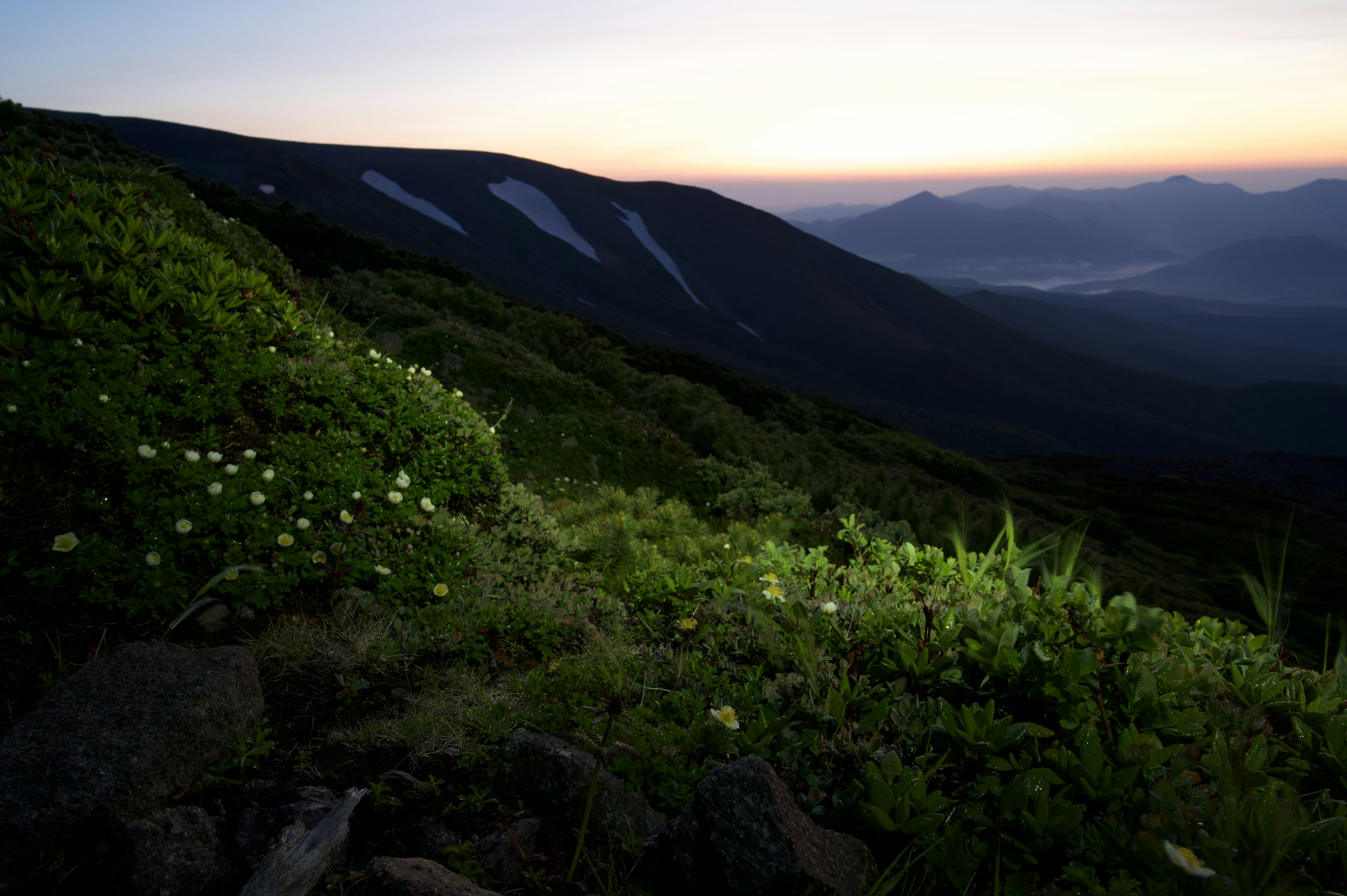 山の風景と夕暮れの光景緑の植物と白い花が散在する