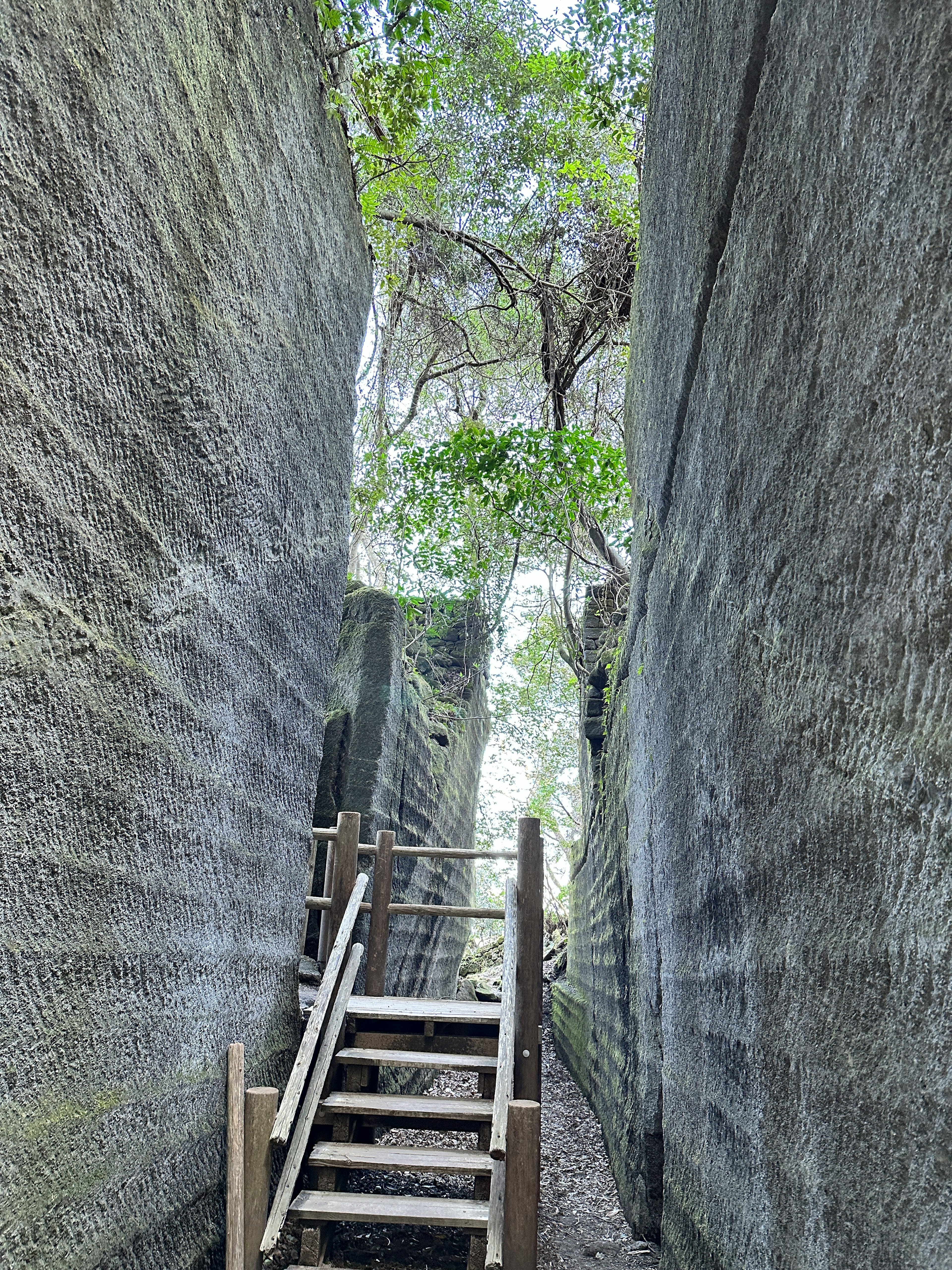 Wooden stairs in a narrow canyon with trees